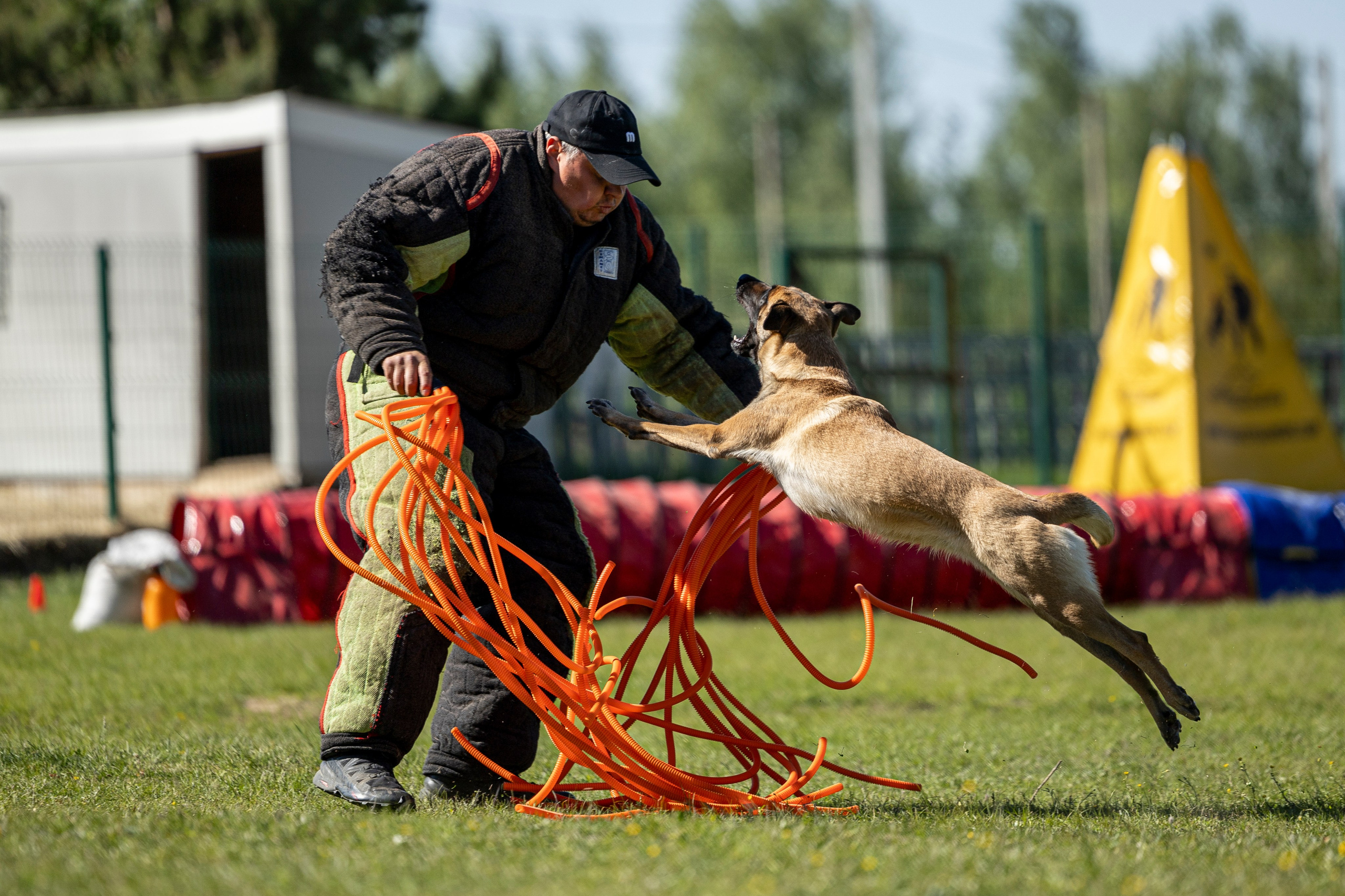 Испытания по мондьорингу в Нижнем Новгороде. Фотограф-анималист Анна Маринич