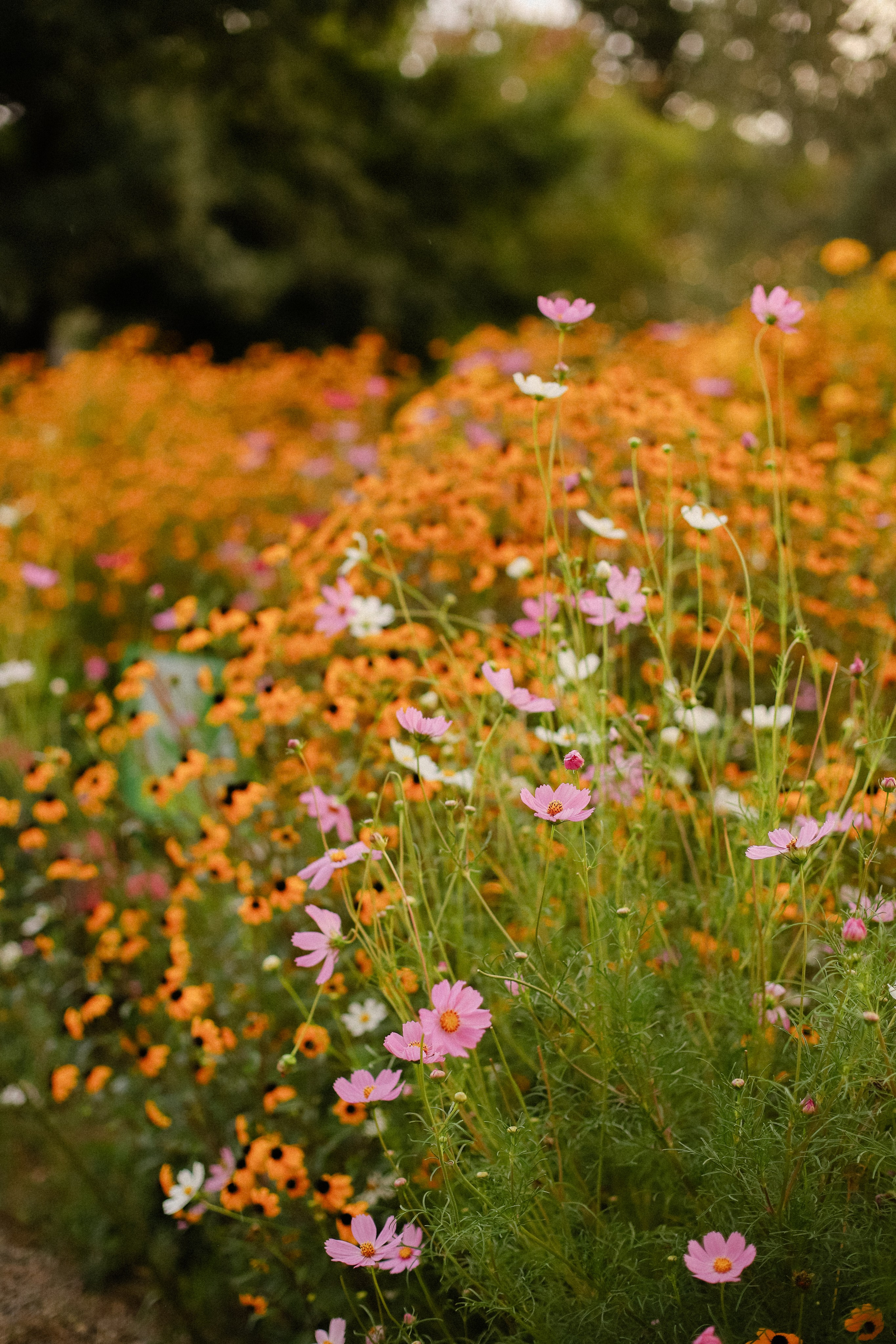 1+1=6. Фотограф в Алматы и Москве Даша Пушкина