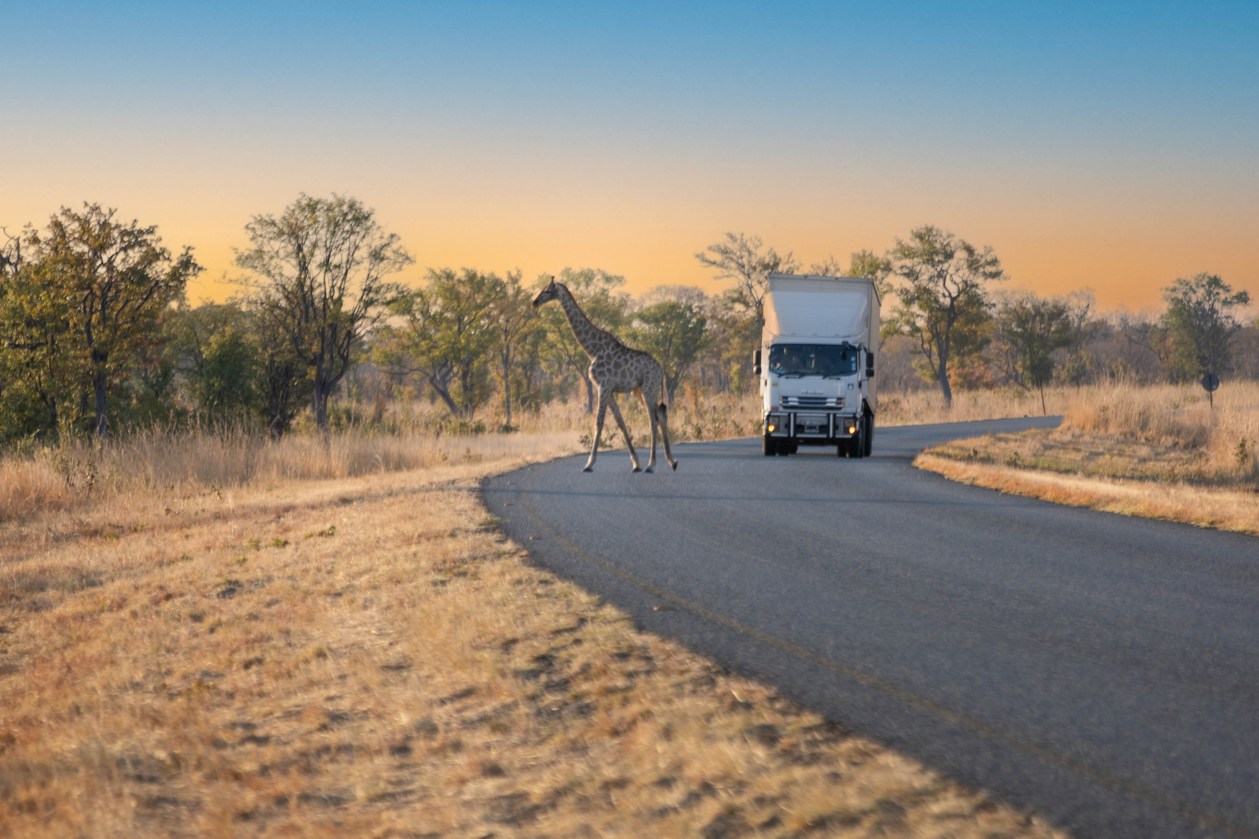 Южная Африка. B612