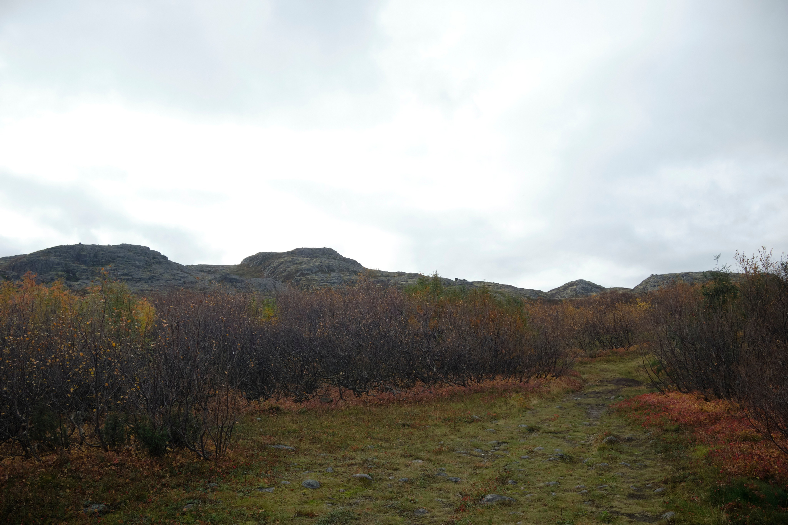 Путешествие в Териберку. Елена Павленко. Фотограф. Москва