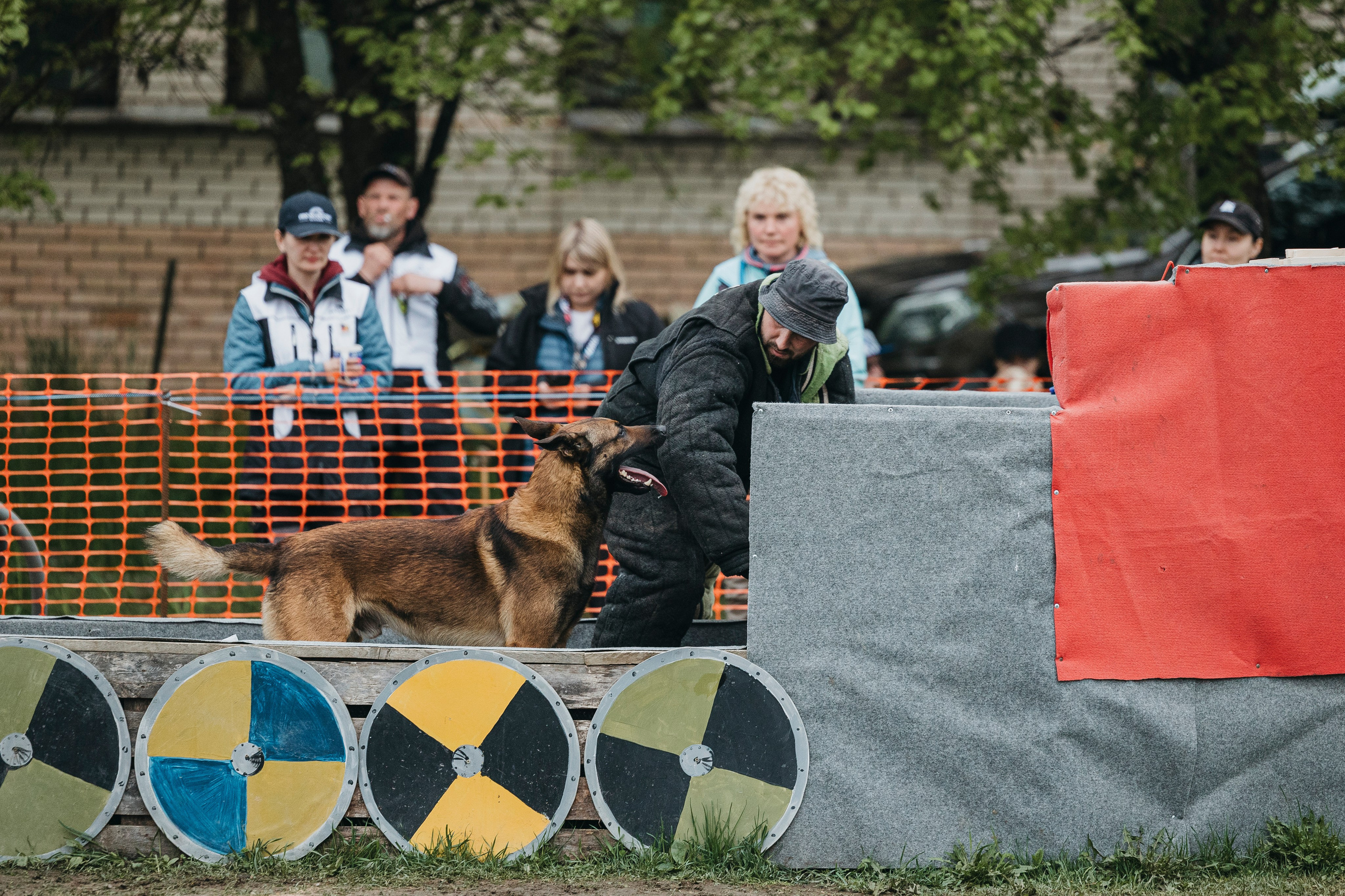 26.05.25 г. Пушкин квалификационные соревнования. Фотограф-анималист Анна Маринич