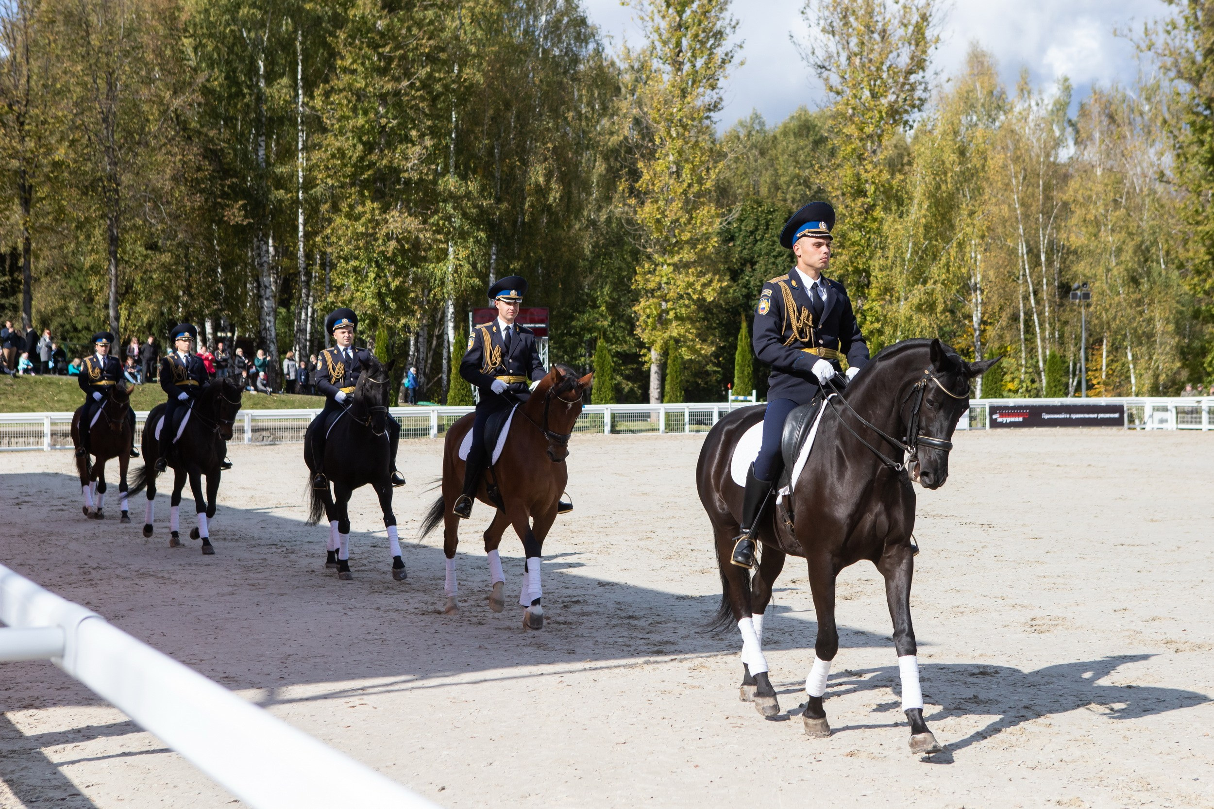 Кубок Губернатора по конкуру (21 сентября 2019). Репортажный фотограф Алексей Пирязев