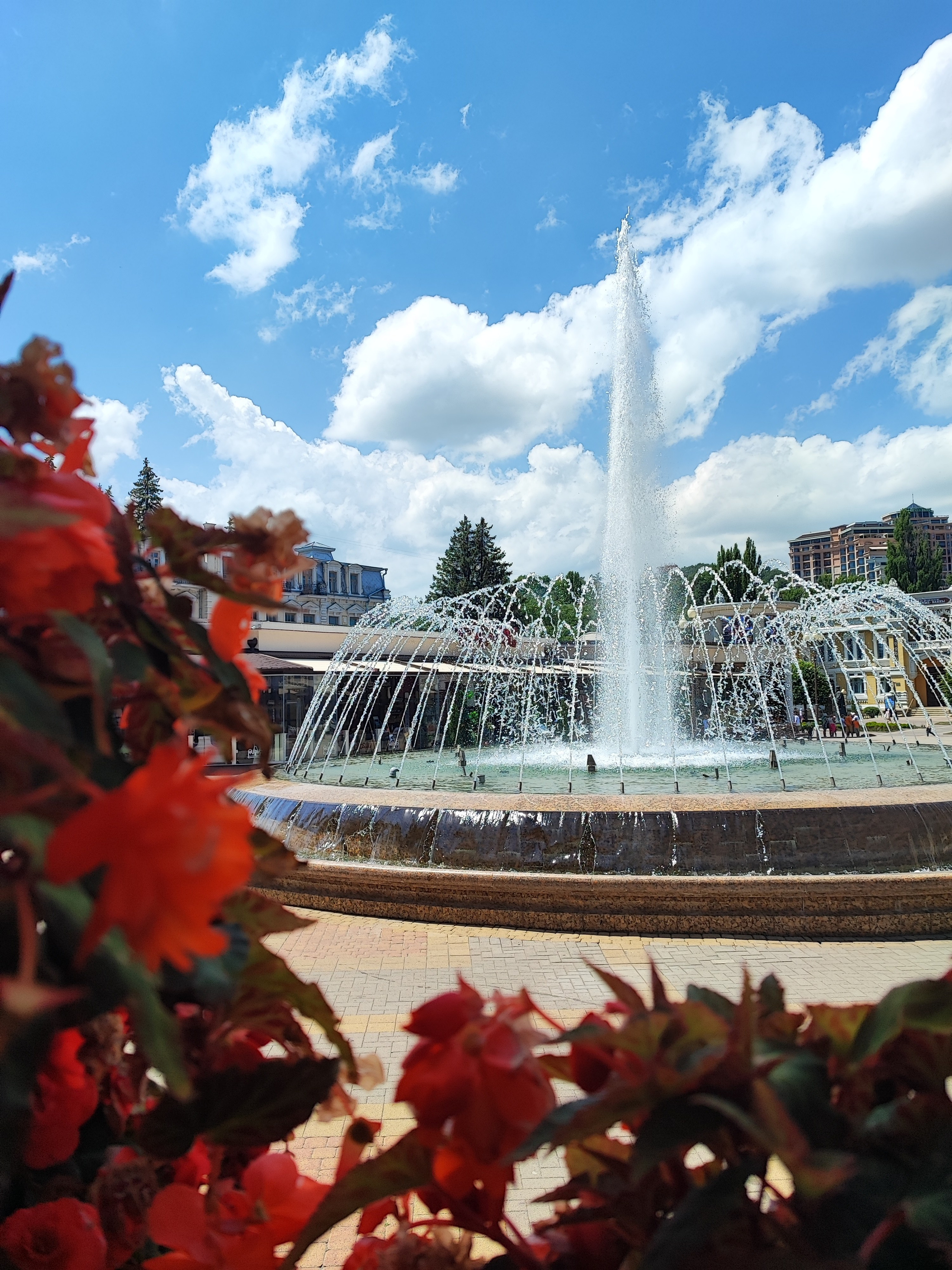 Намобилкус кавказский. Репортажный фотограф Алексей Пирязев