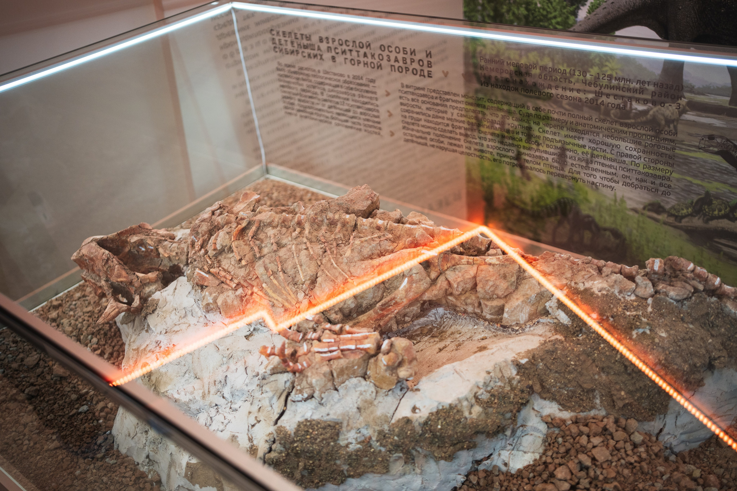 Ночь музеев 2024. Фотограф на любое событие в Кемерово