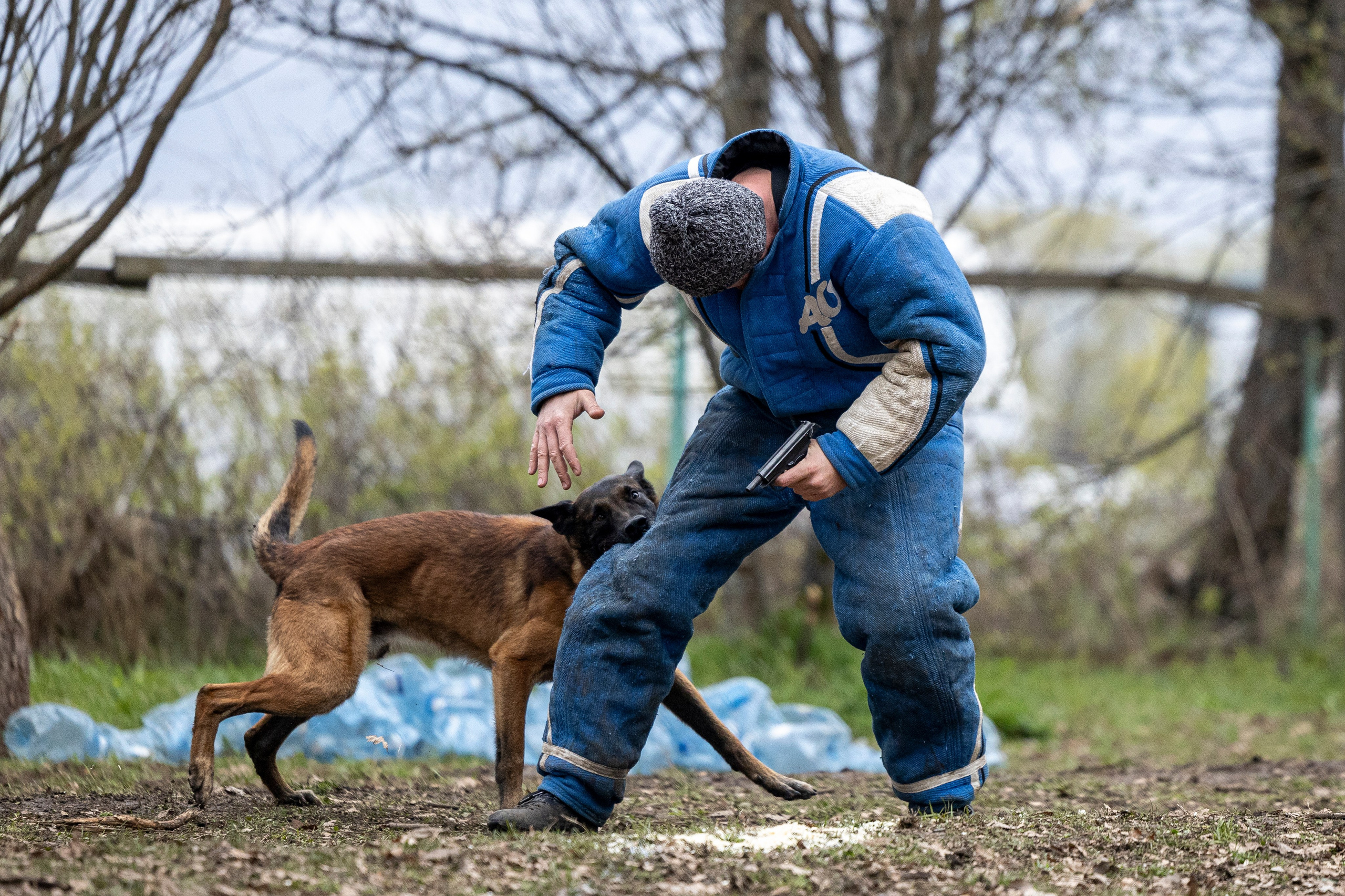 Квалификационные состязания по мондьорингу г. Вологда 11.05.24. Фотограф-анималист Анна Маринич