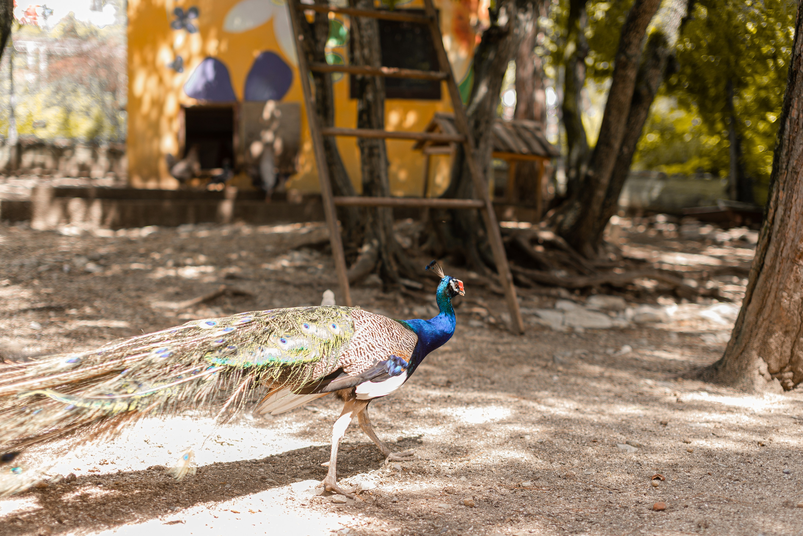 Июнь–Июль Отпуск Белореченск, Геленджик. Семейный, Свадебный фотограф СПБ Питер— Романова Екатерина