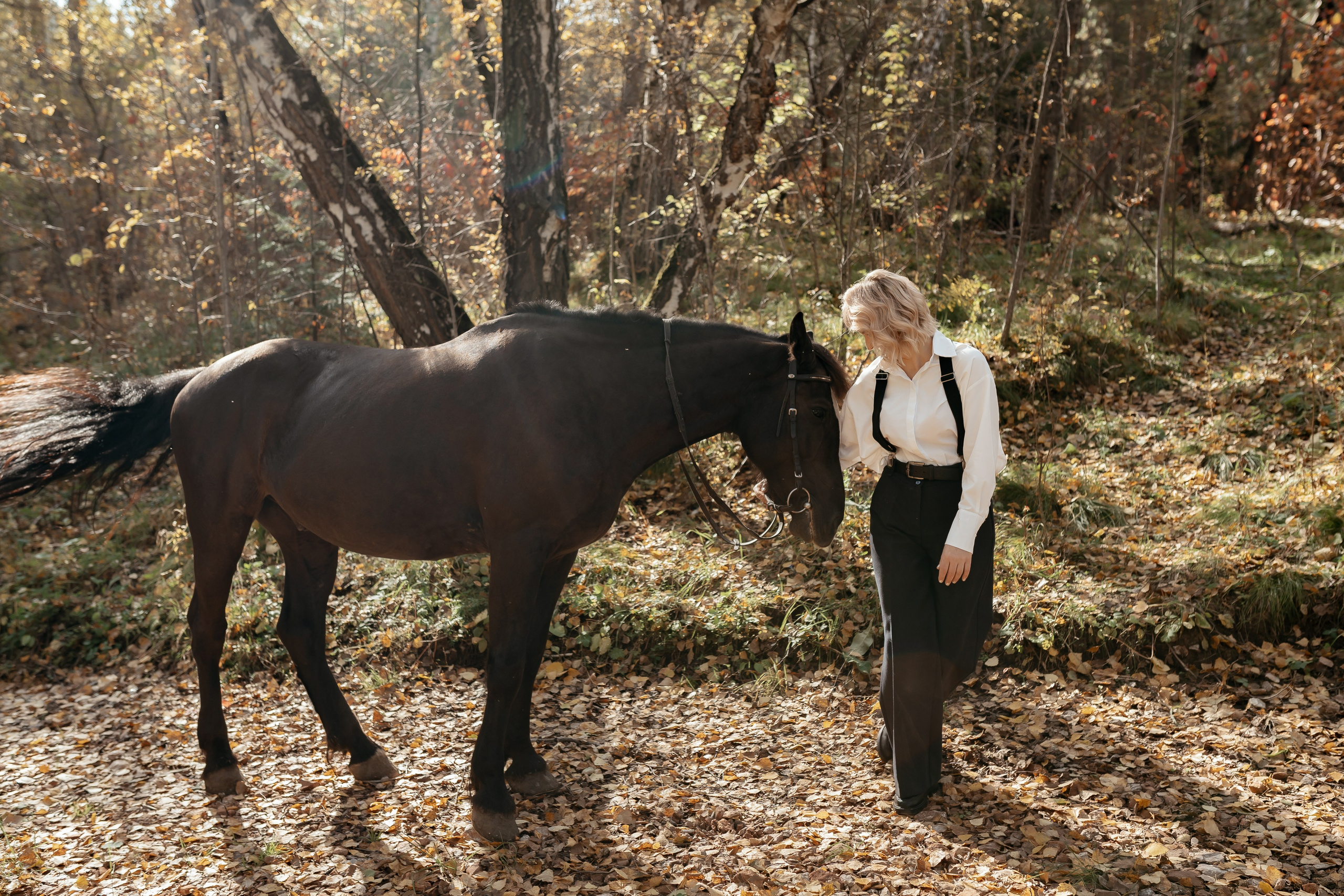 На конном дворе. Фотограф Ким Наталья в Красноярске