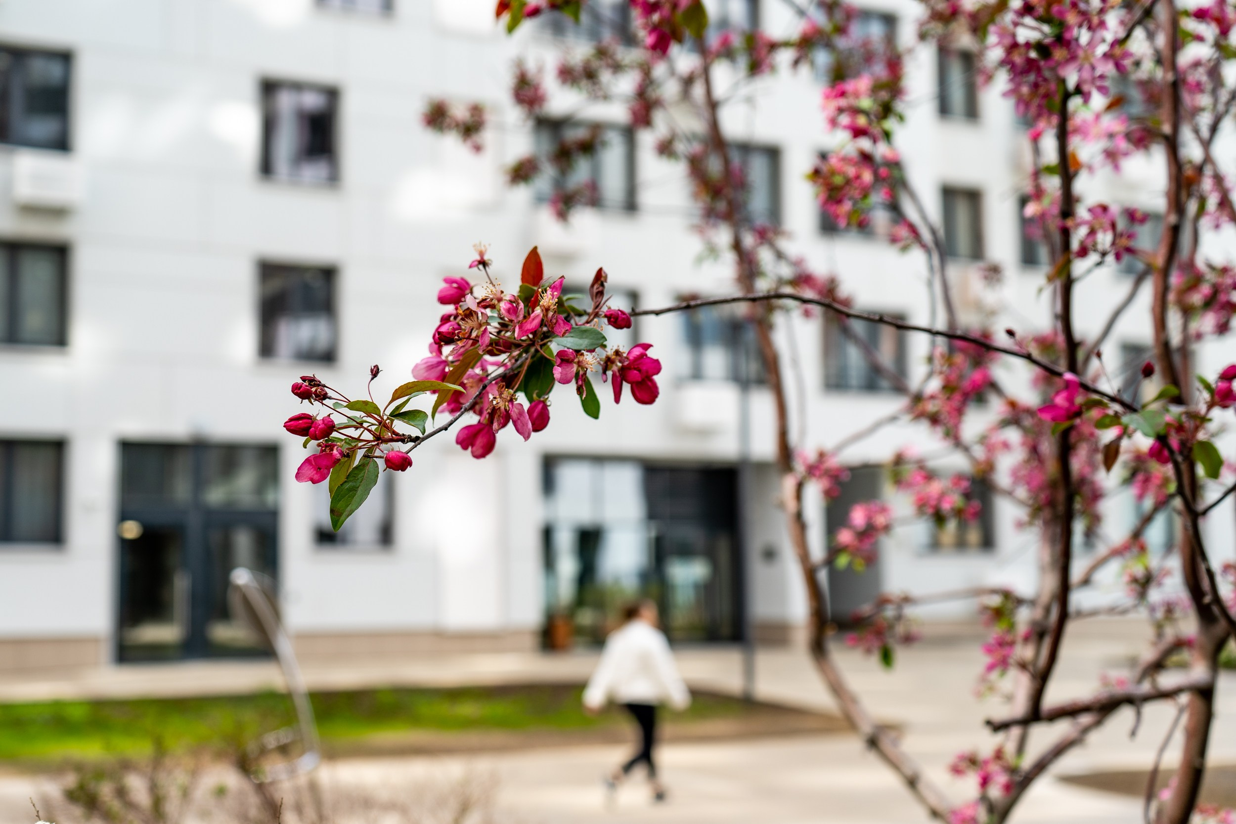 Город. Фотограф Екатерина Зорина