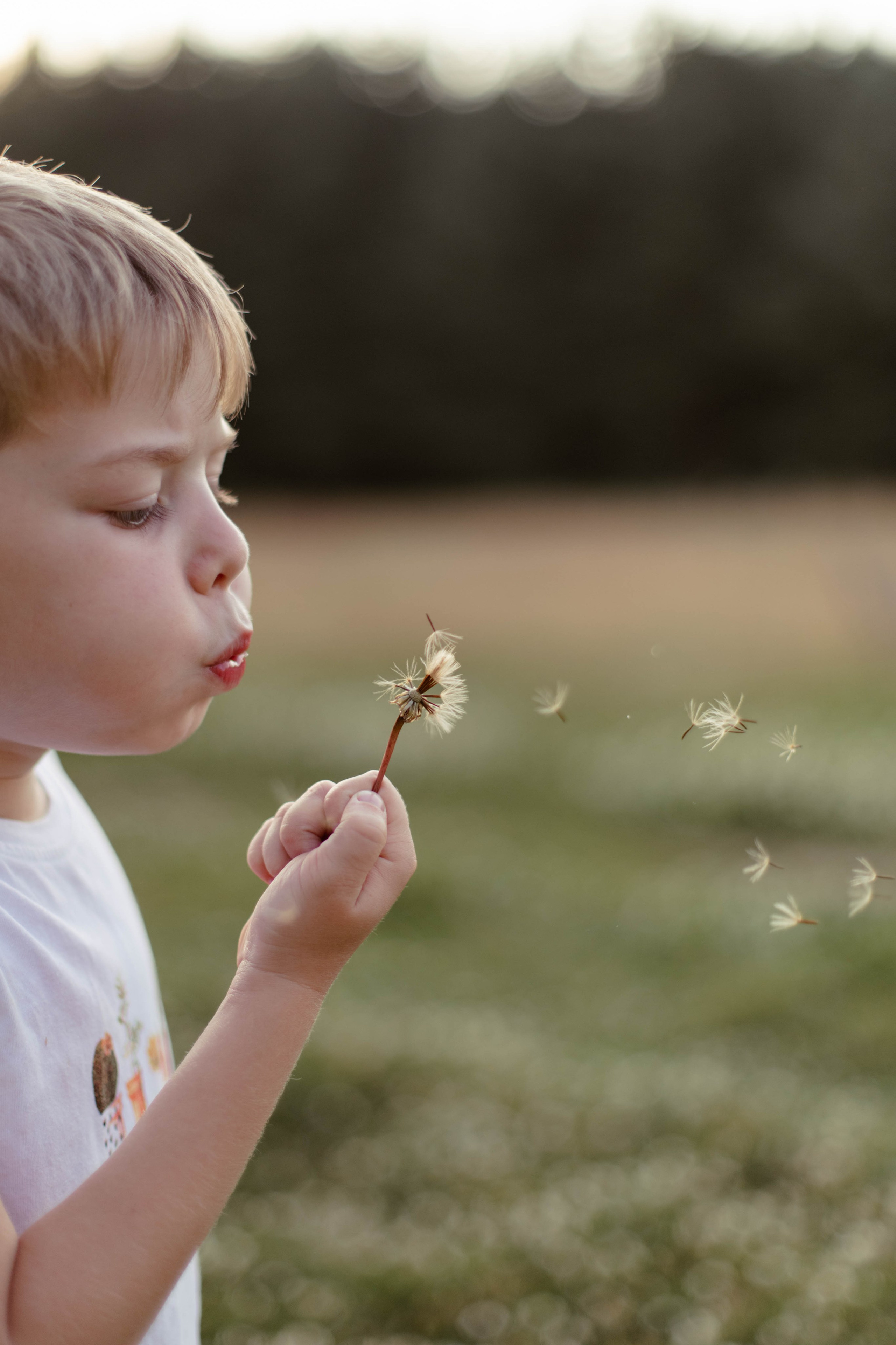 Оля, Дагни и Рорк. Семейный фотограф Москва Ирина Малышева