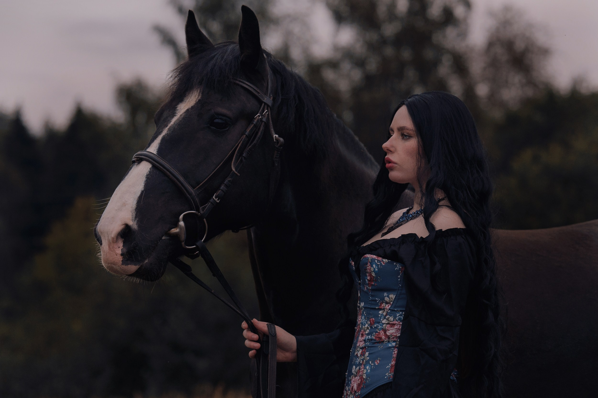 КСК Славино. Фотограф-анималист, портретный фотограф в Чебоксарах Мария Садыкова