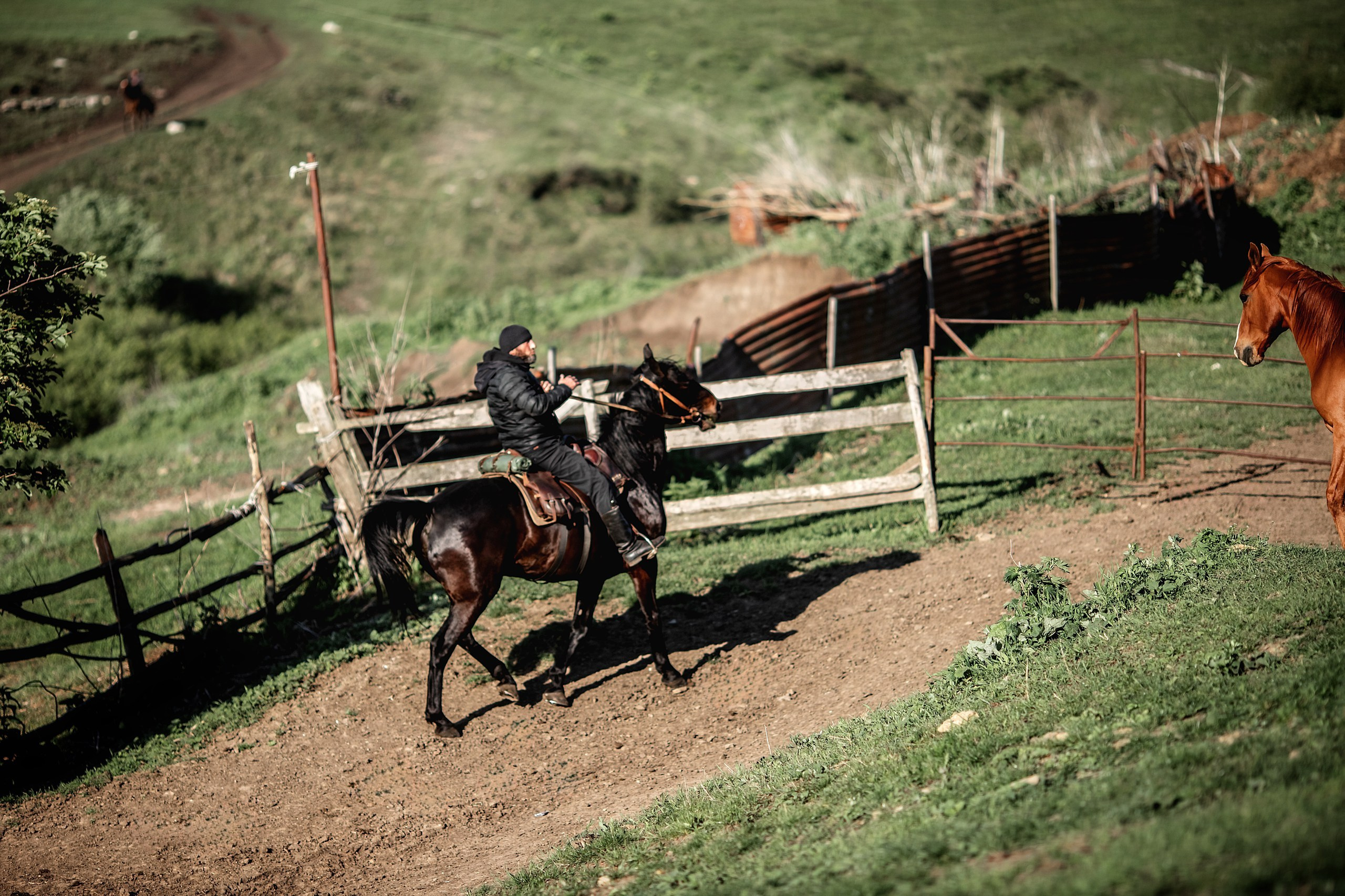 КЧР май'24. BrisArts