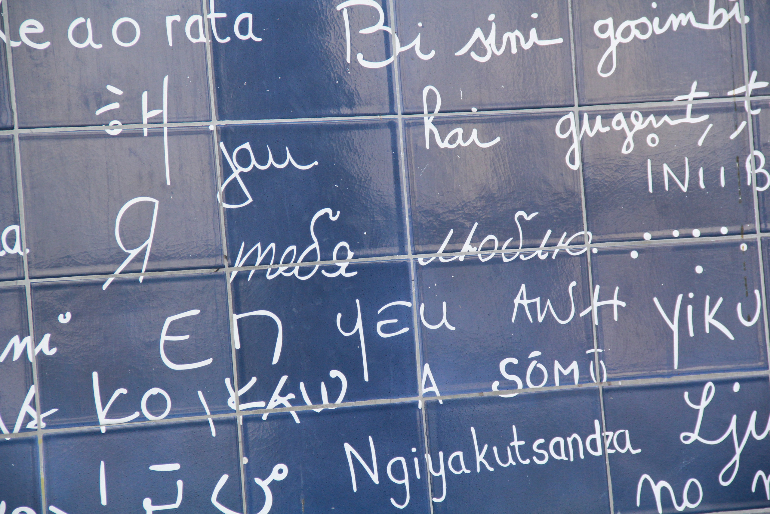 Автор: Саша Серебровская