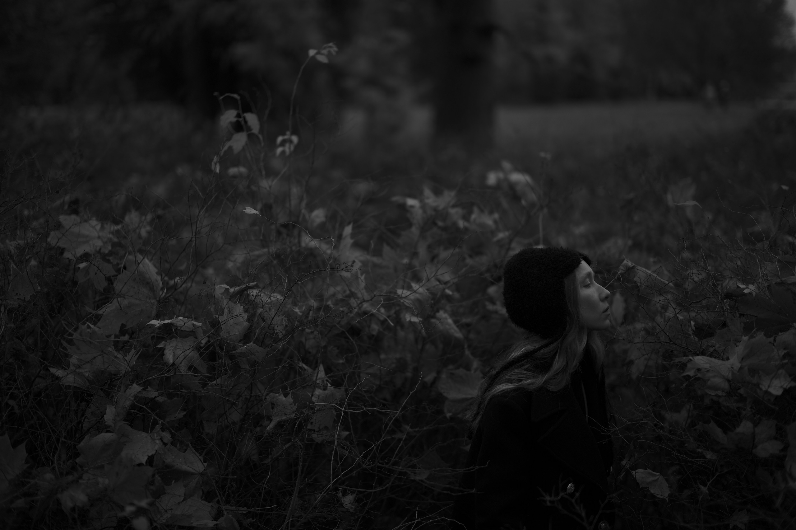 Black Autumn. Фотограф Александр Медведев