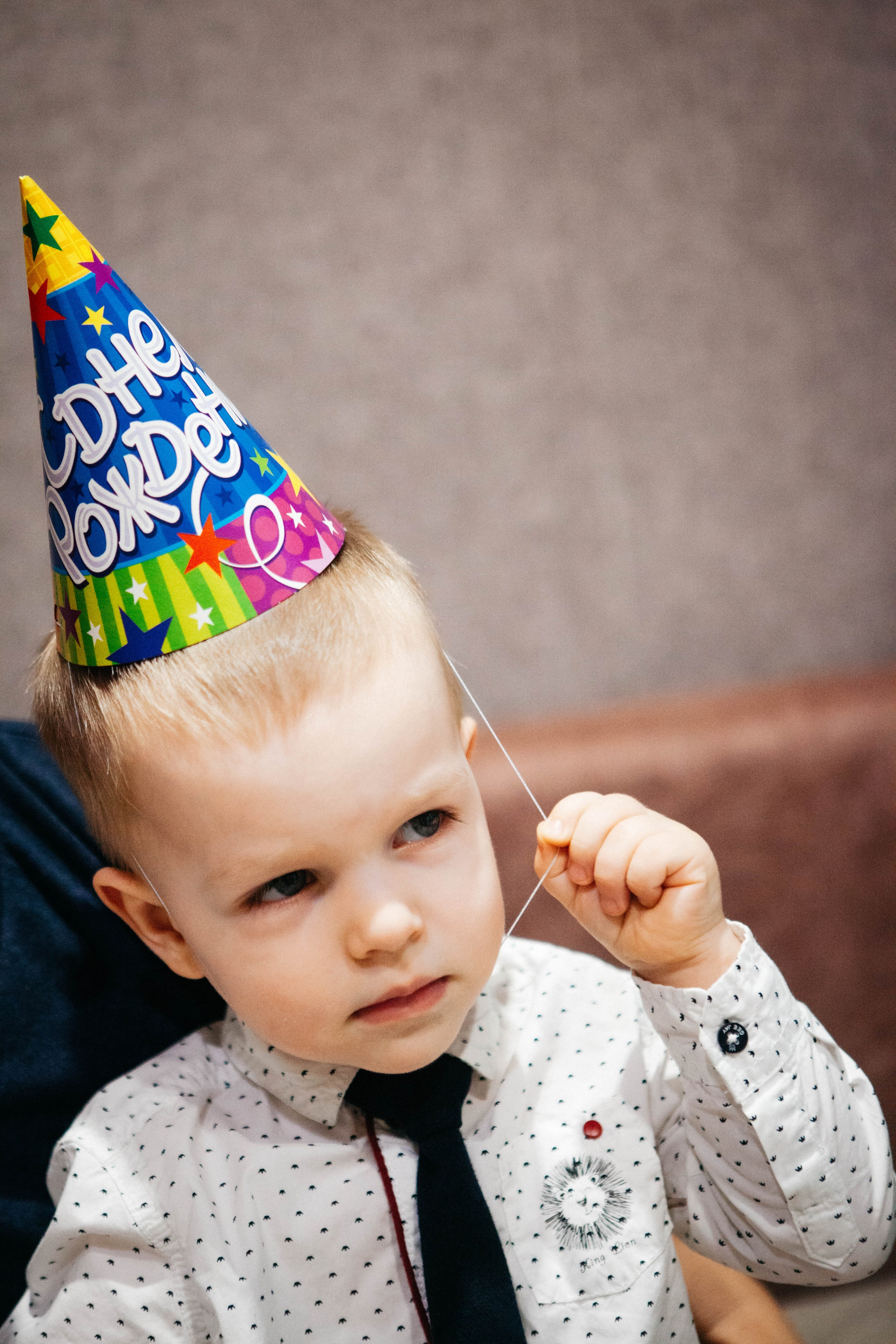 Лев. Фотограф Ольга Крукле