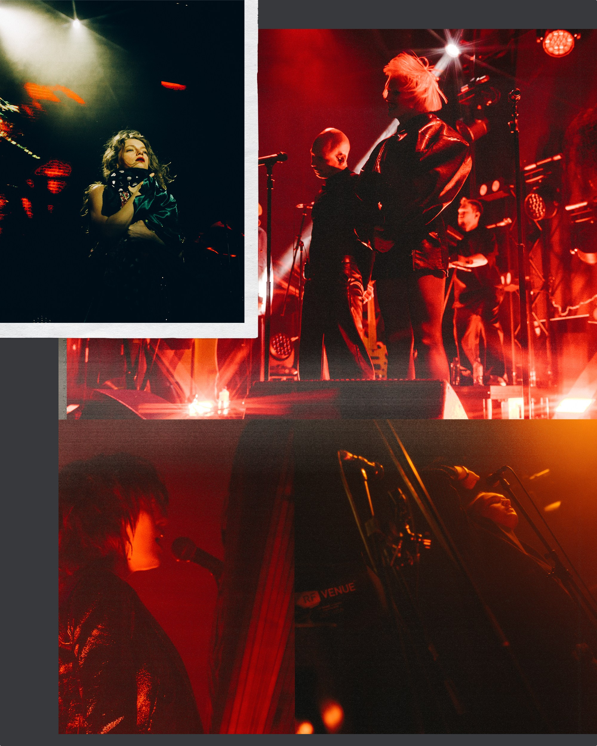 Concert photographer in Moscow and Sweden