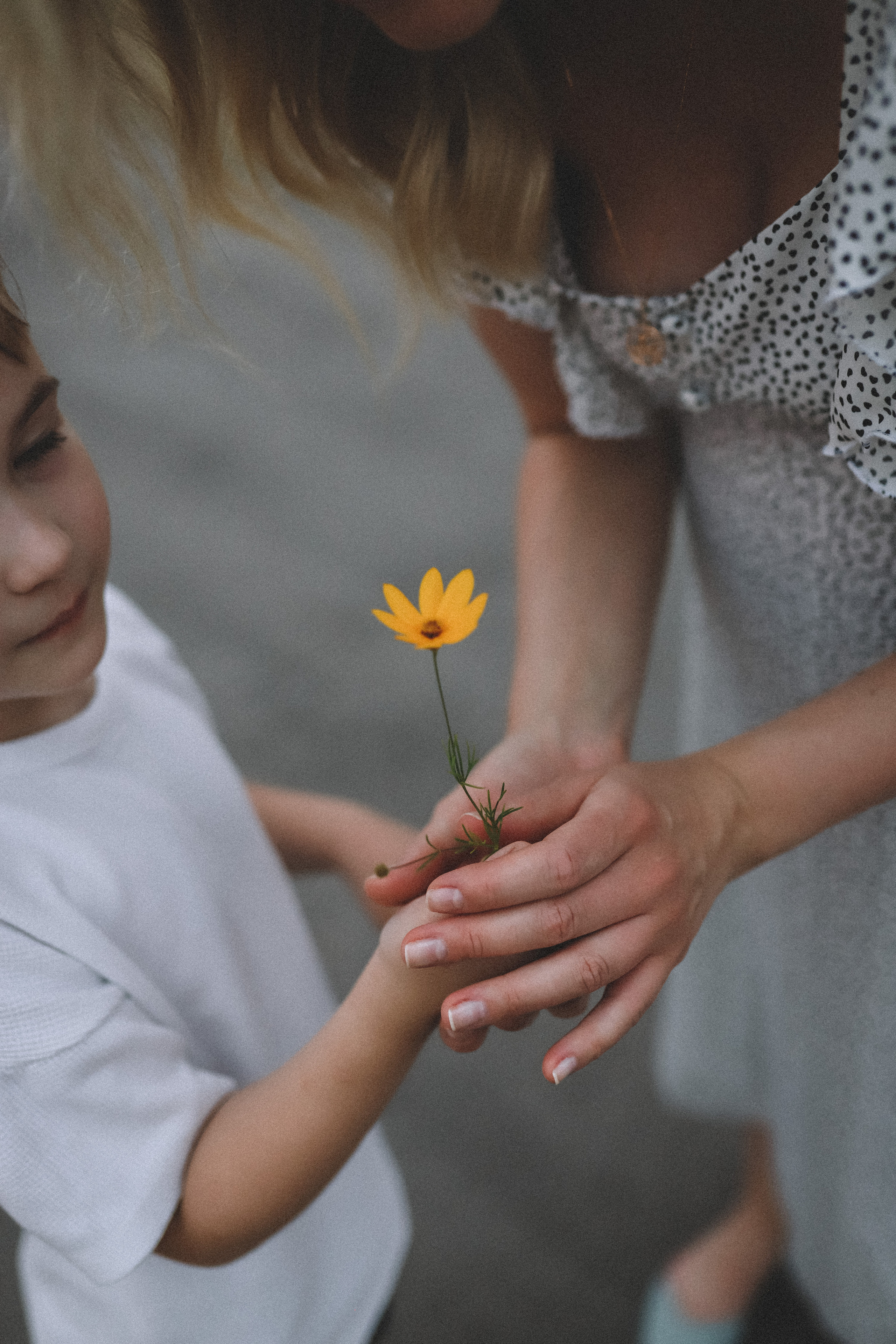 Евгений, Евгения и Кирилл. Фотограф в Нижнем Новгороде Кристина Батанова