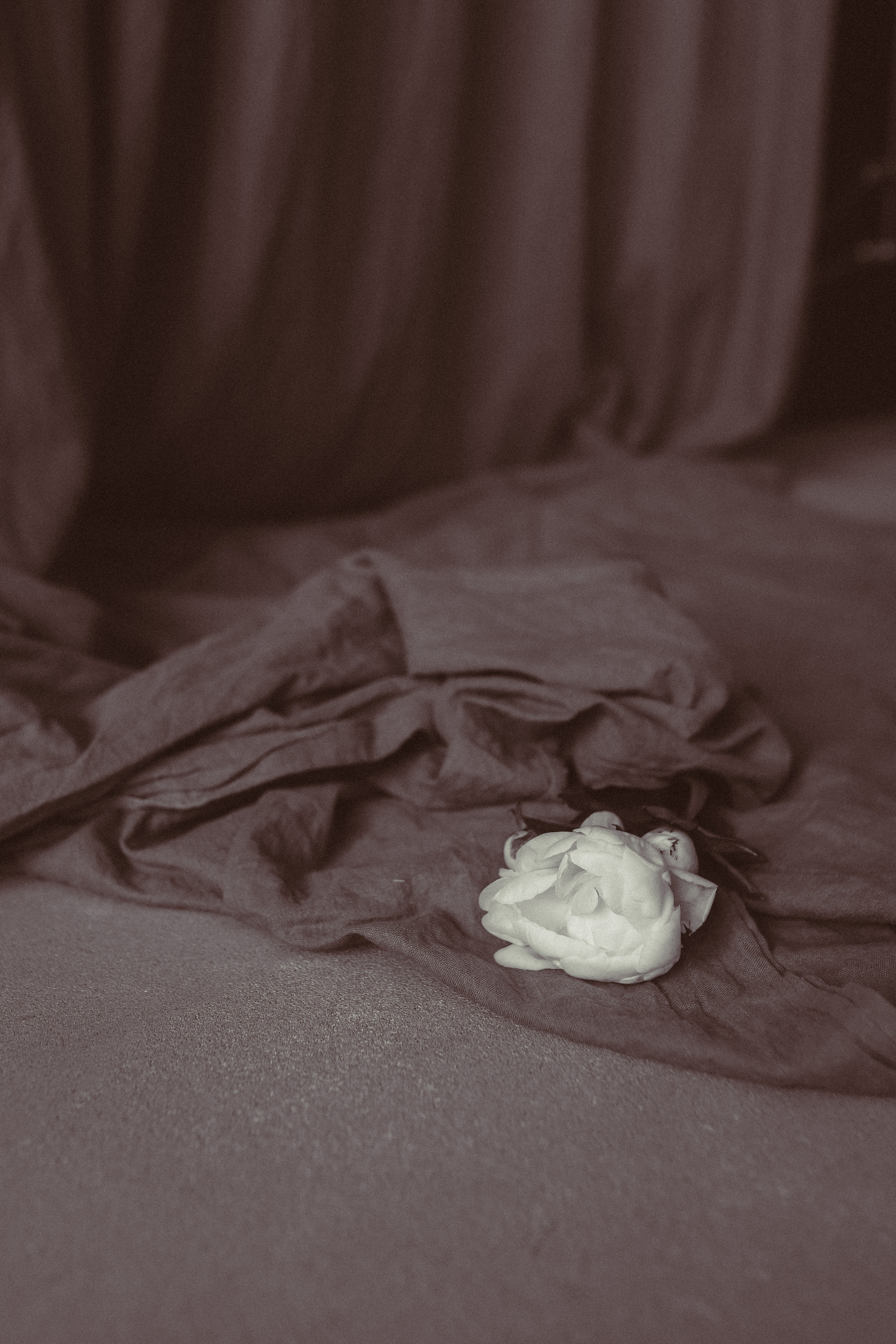 Лена. Фотограф в Нижнем Новгороде Кристина Батанова