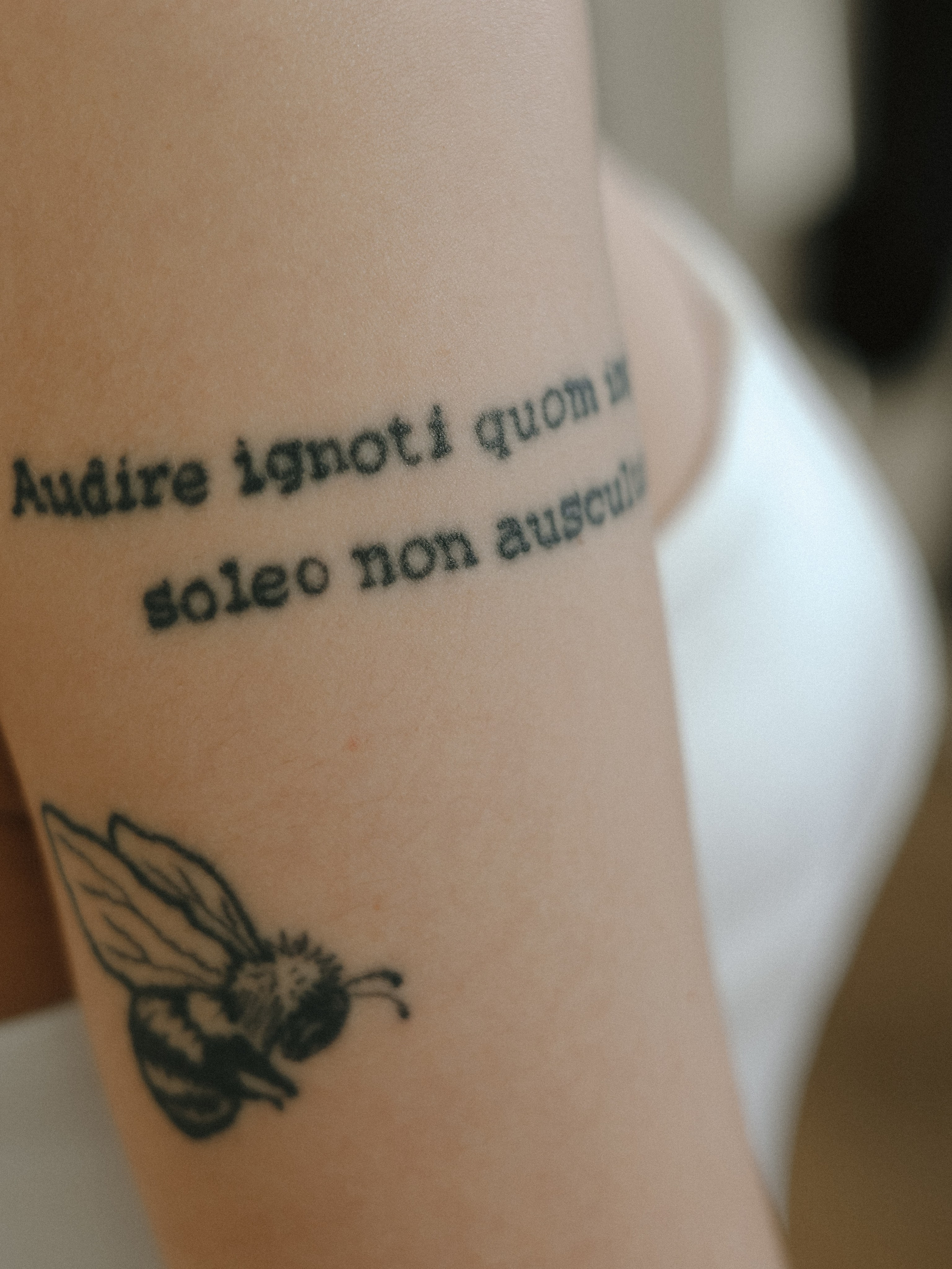 SCARLET. О проете «ЭТОНЕОТПУСК»