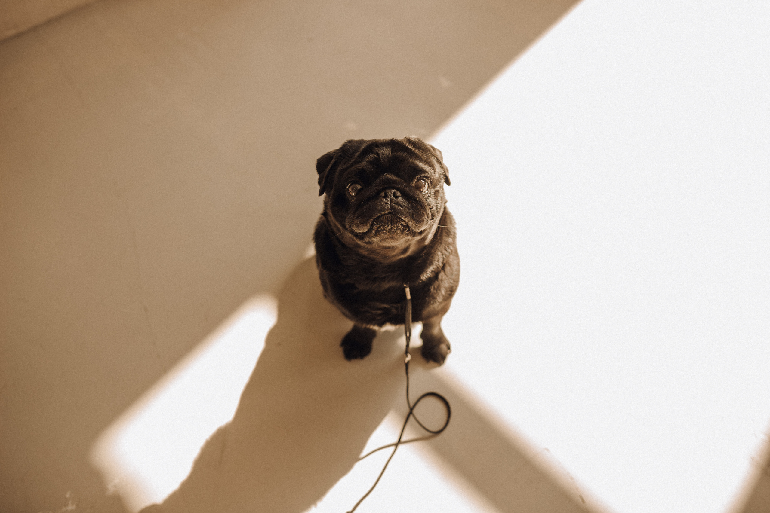 С верным другом. Семейный фотограф в Казани Шамгулова Марина