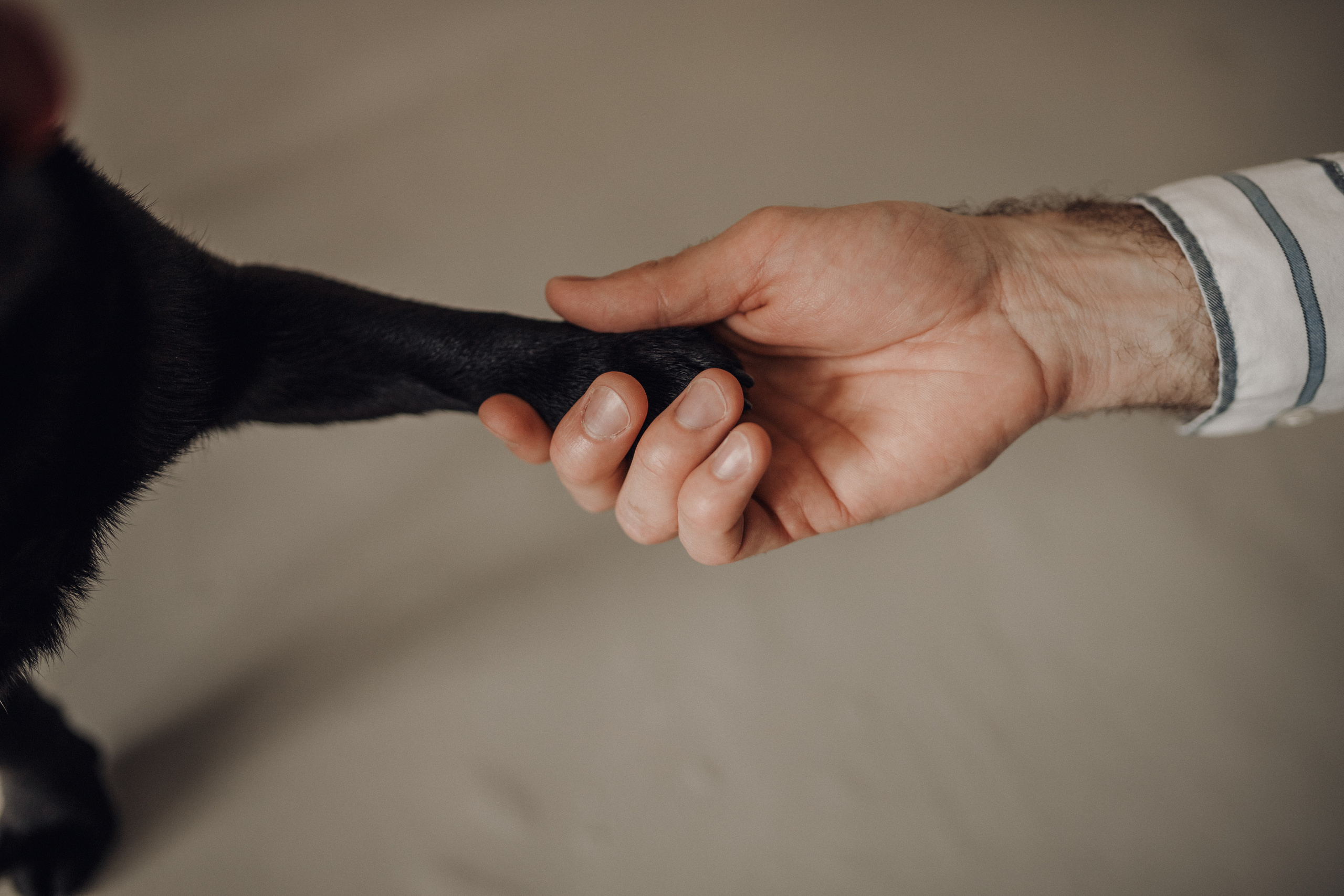 С верным другом. Семейный фотограф в Казани Шамгулова Марина