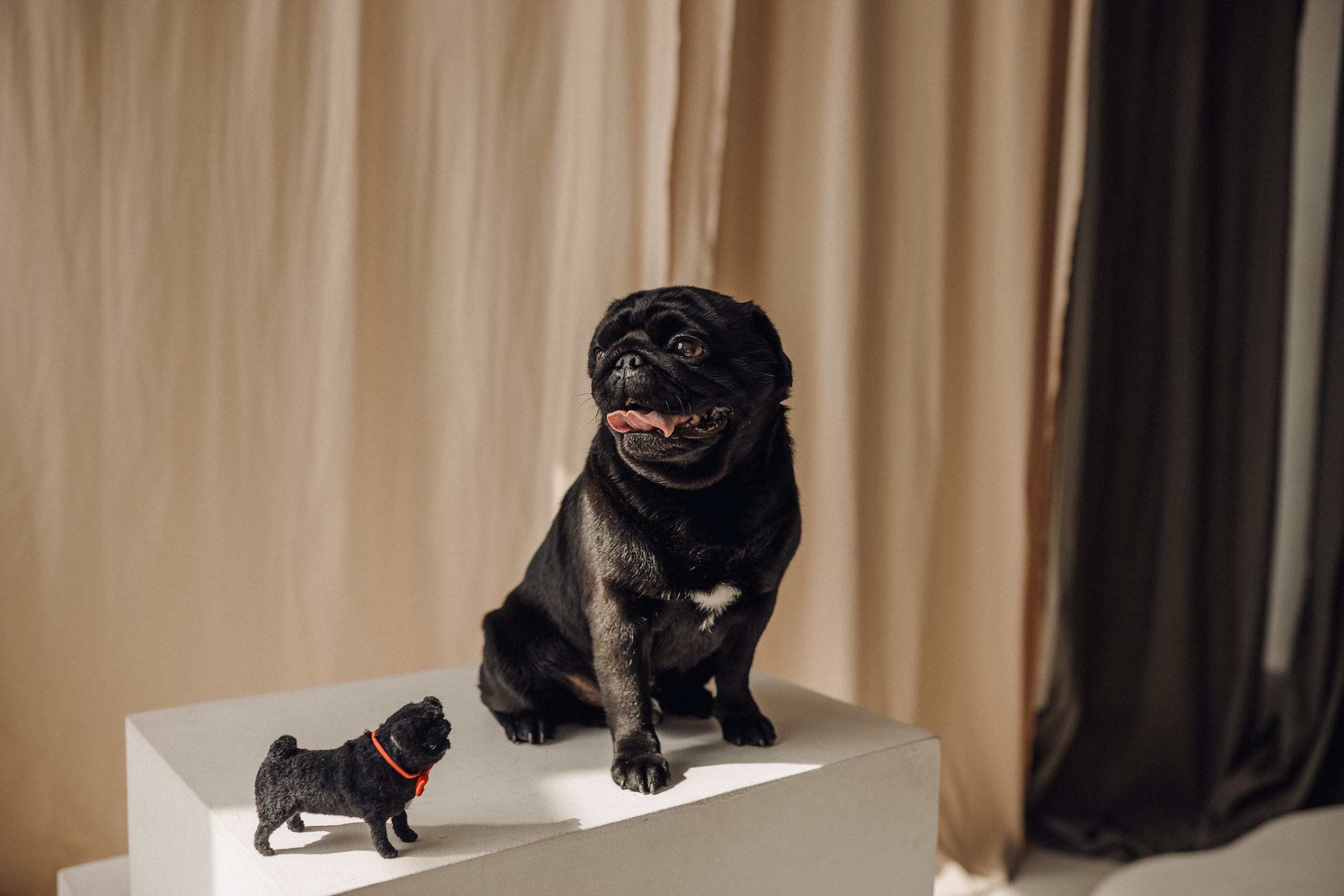 С верным другом. Семейный фотограф в Казани Шамгулова Марина