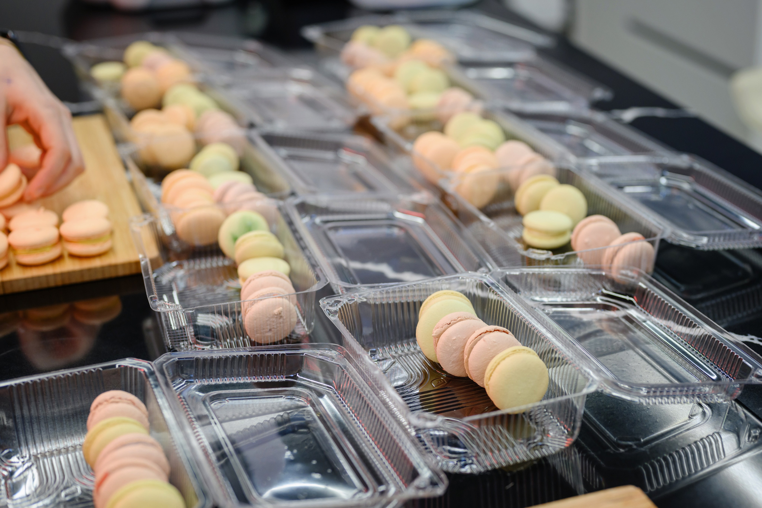 Kenwood. Семейный фотограф и анималист в Москве и Московской области