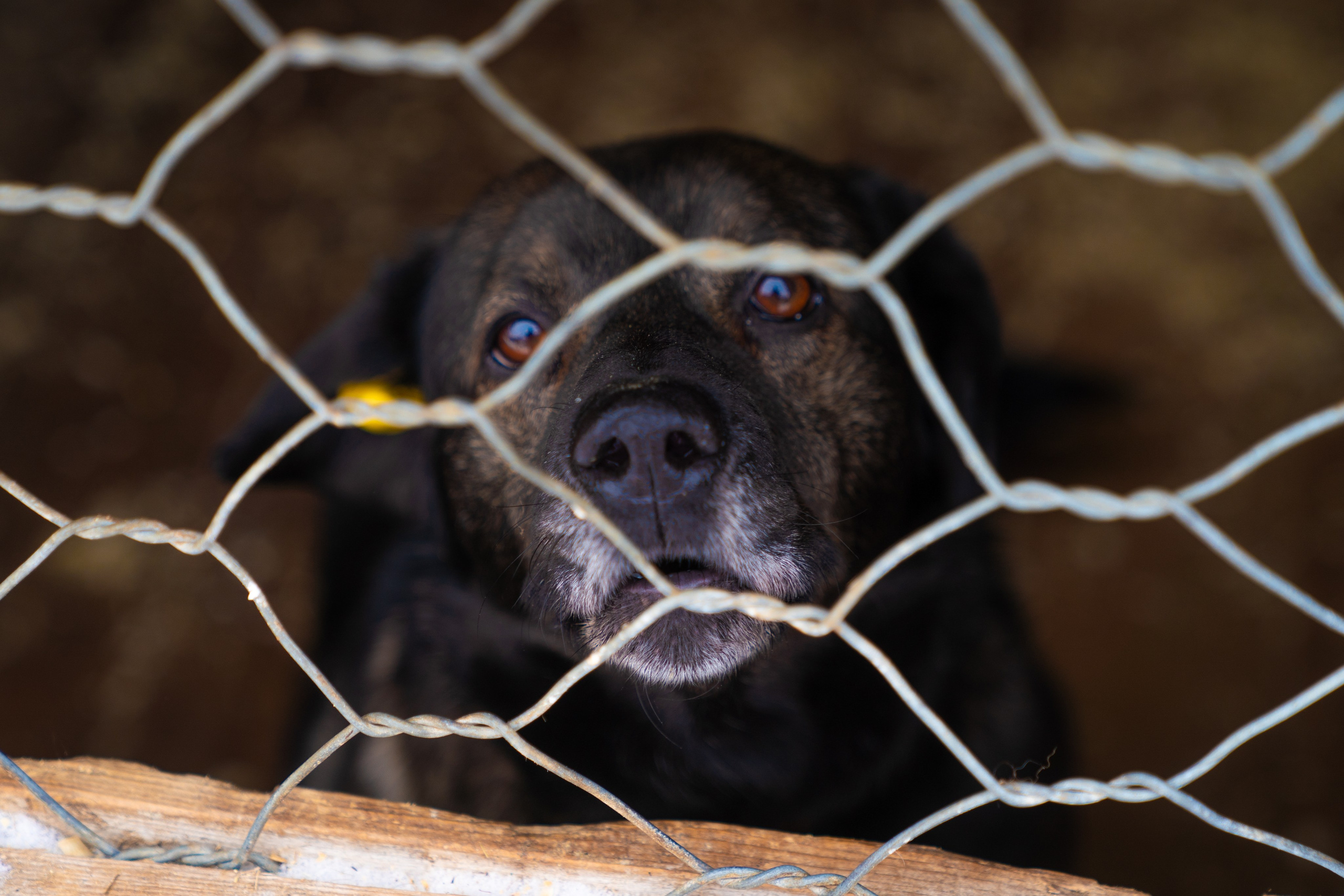Репортаж. Фотограф Ханты-Мансийск Тимофей Чеботин