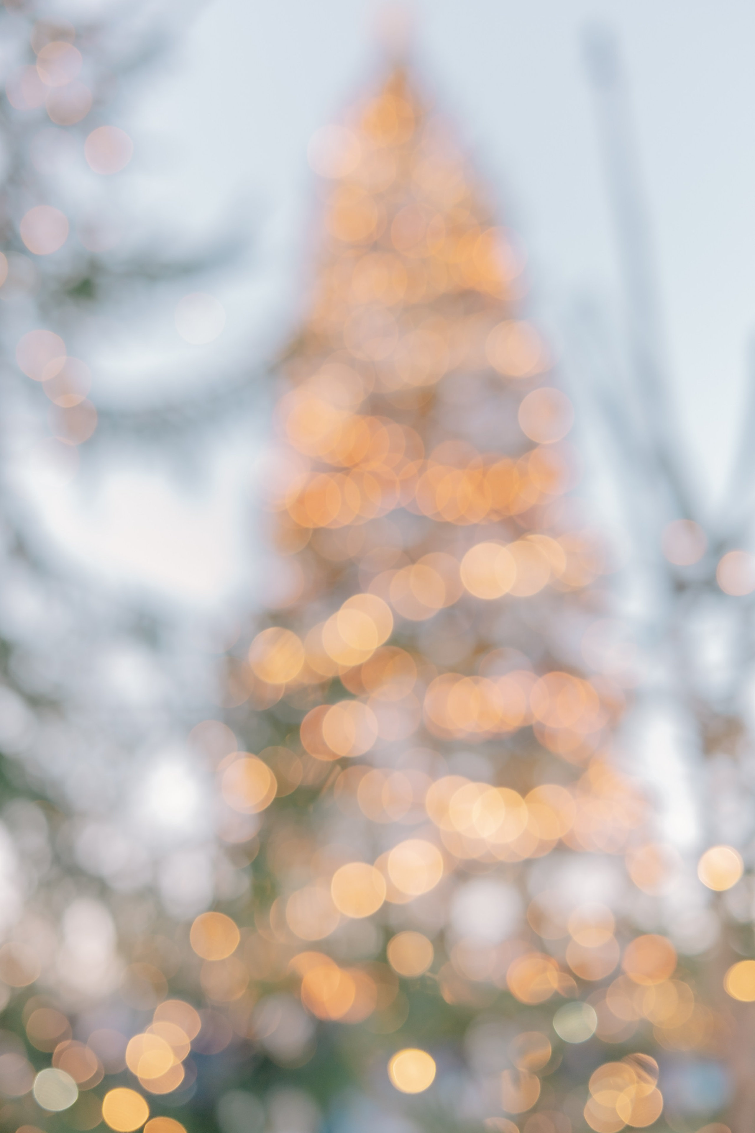 Санкт-Петербург. Аня Степанова