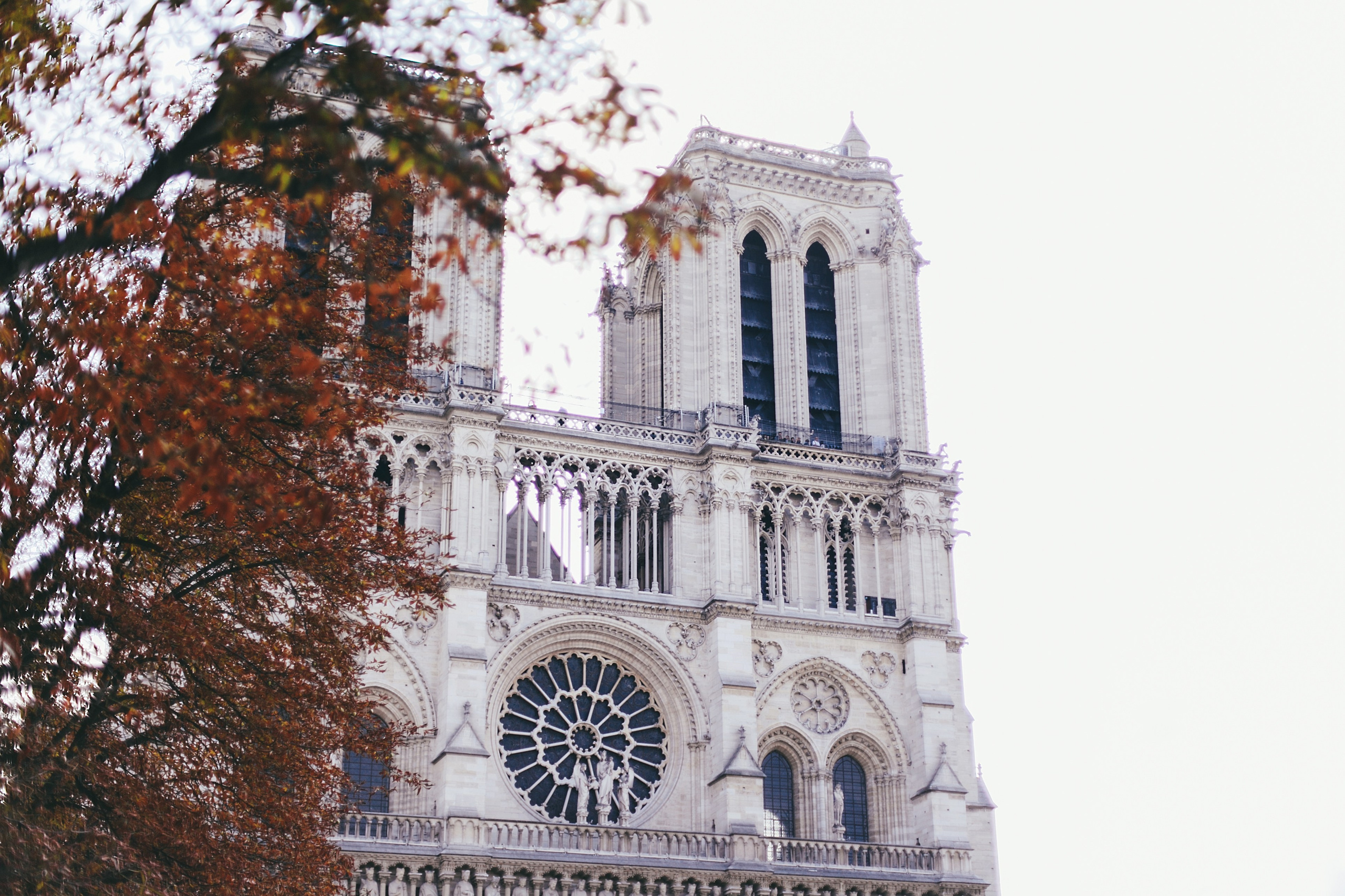 Париж. Аня Степанова