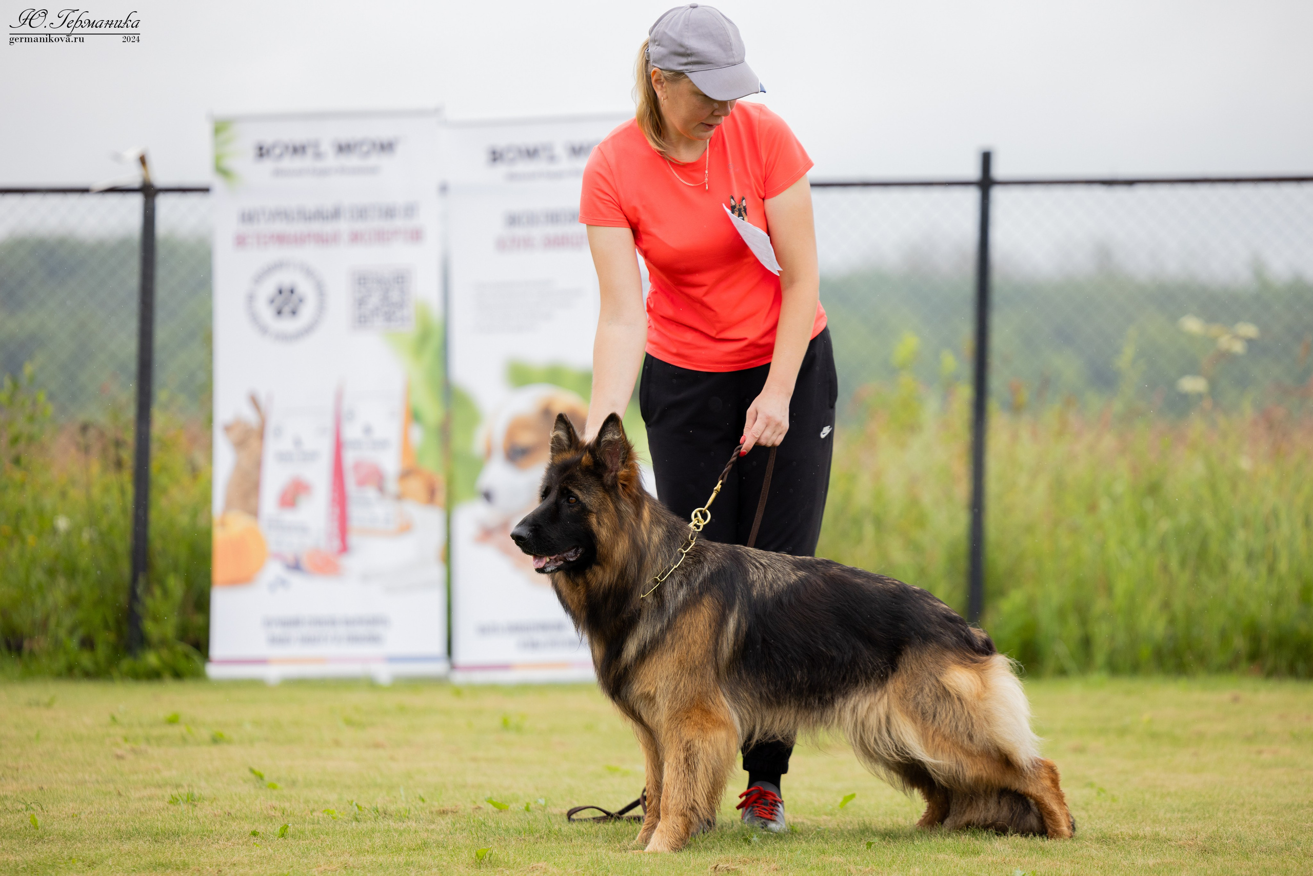 Ярославль 21.07.24 и Балашиха 13.07.24. Фотограф-анималист Юлия Германика
