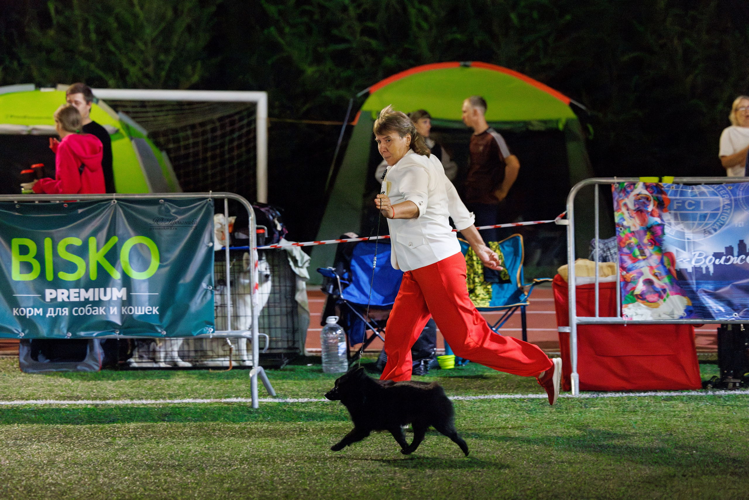 Волгоград 2-4.08.2024. Фотограф-анималист Юлия Германика