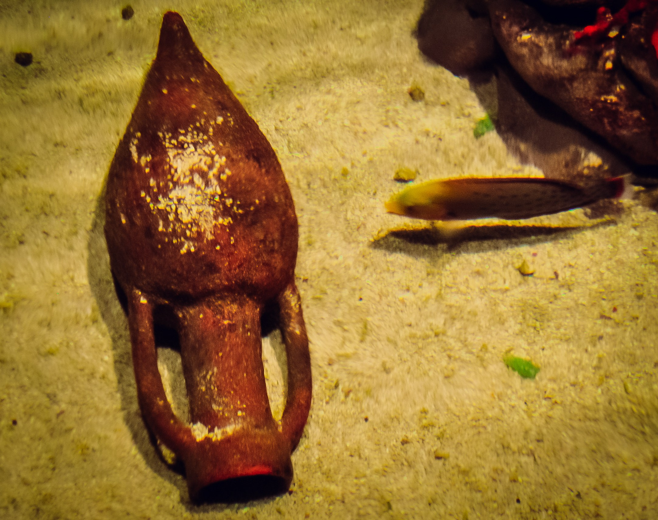 Аквапарк. Портретный фотограф DanilNabody