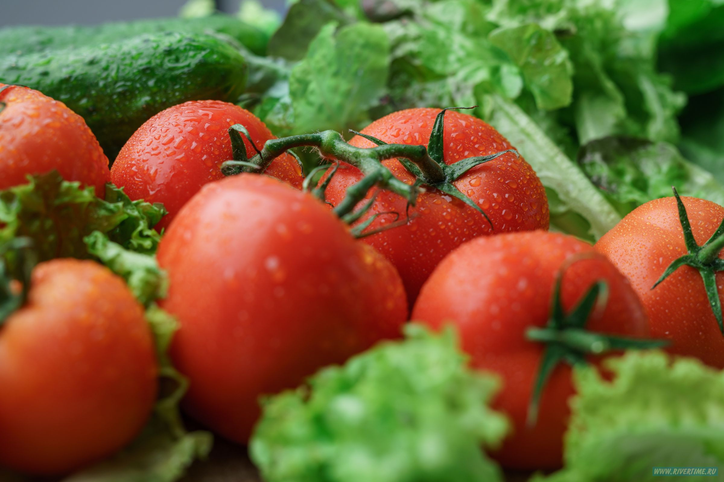 Фуд съемка еды и напитков для меню, доставки, рекламы яндекс и контента соцсетей. Разработка сюжета, съемка видео.