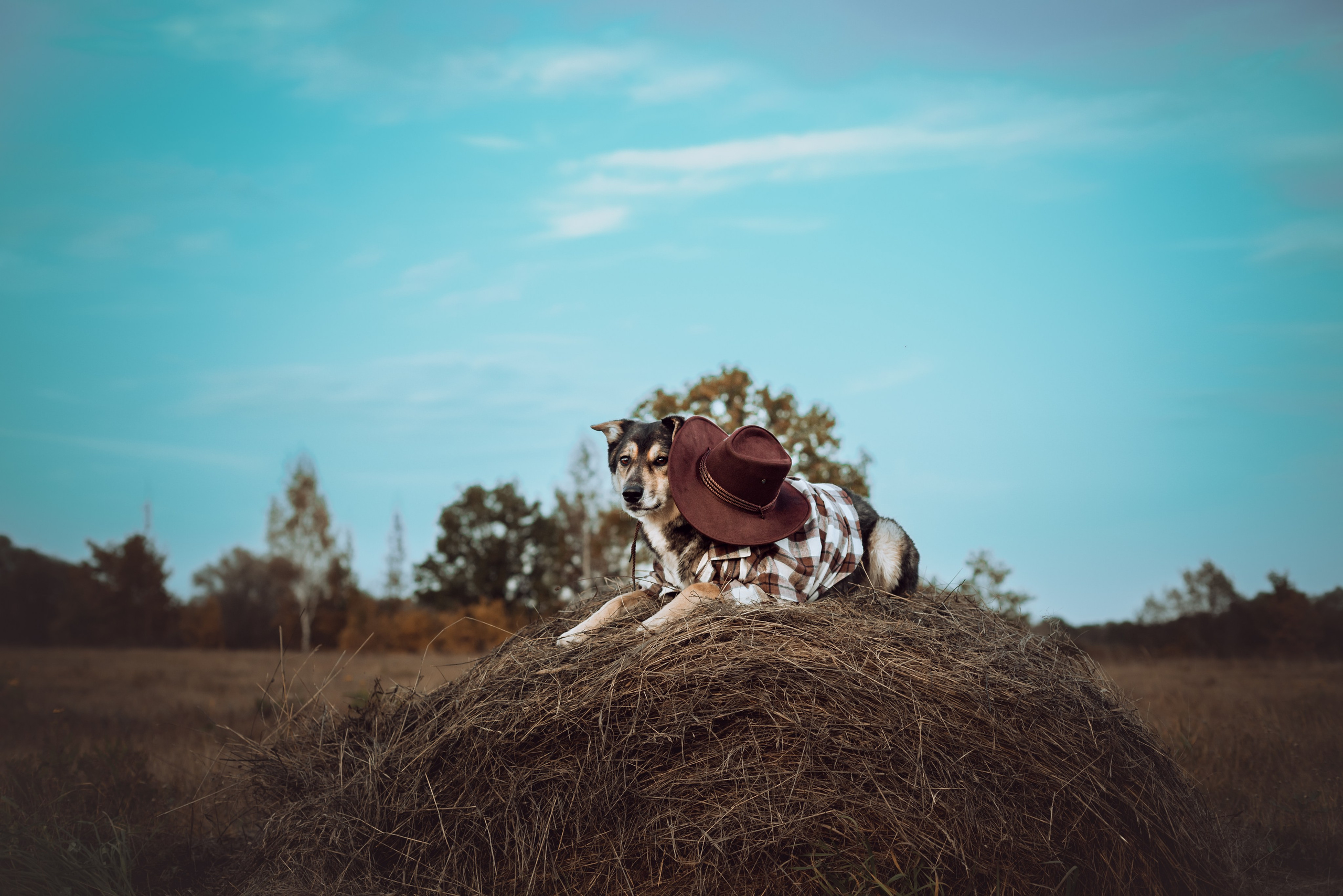 Кантри Дюк. Фотограф-анималист Татьяна Степанова