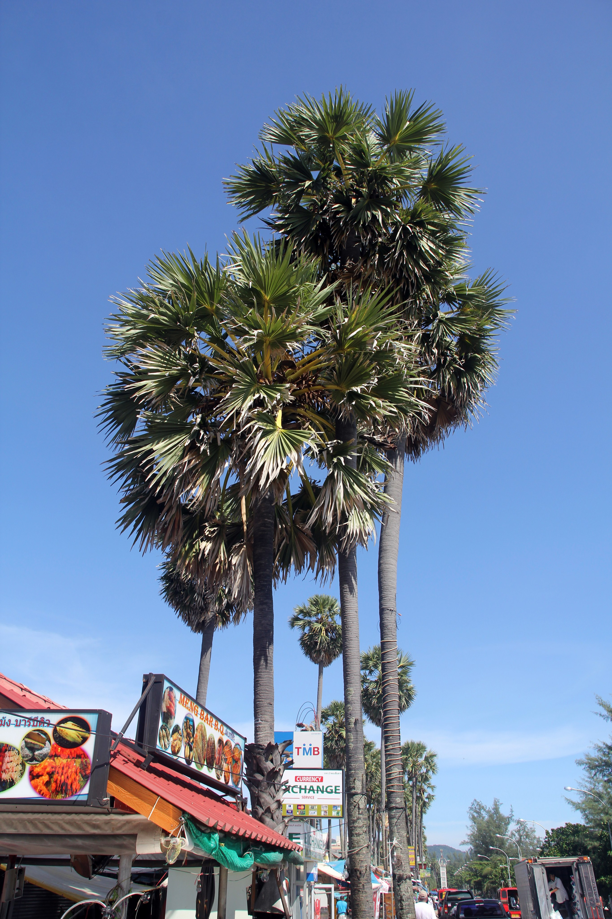 Пхукет. Фотограф Алексей Федорищев