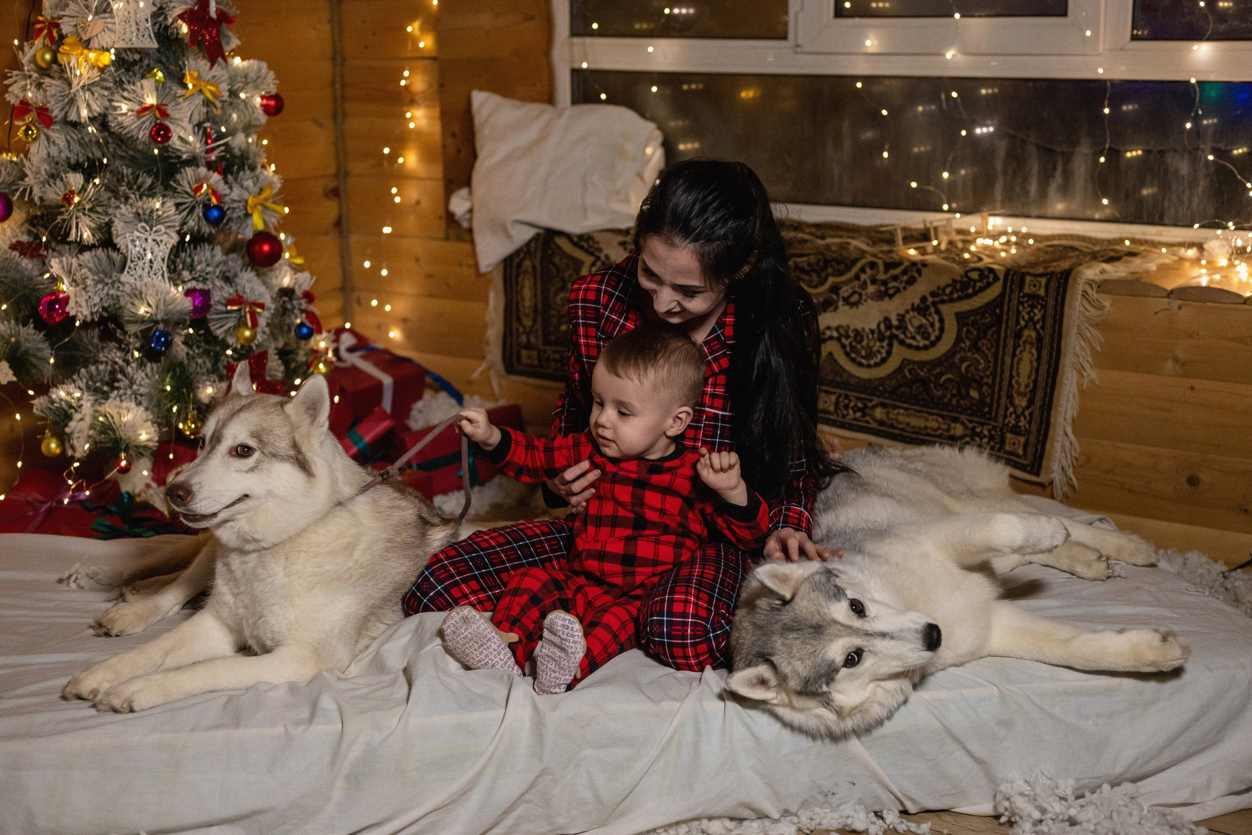 Фотопроект с хаски 2024 г. Фотограф в городе Салават