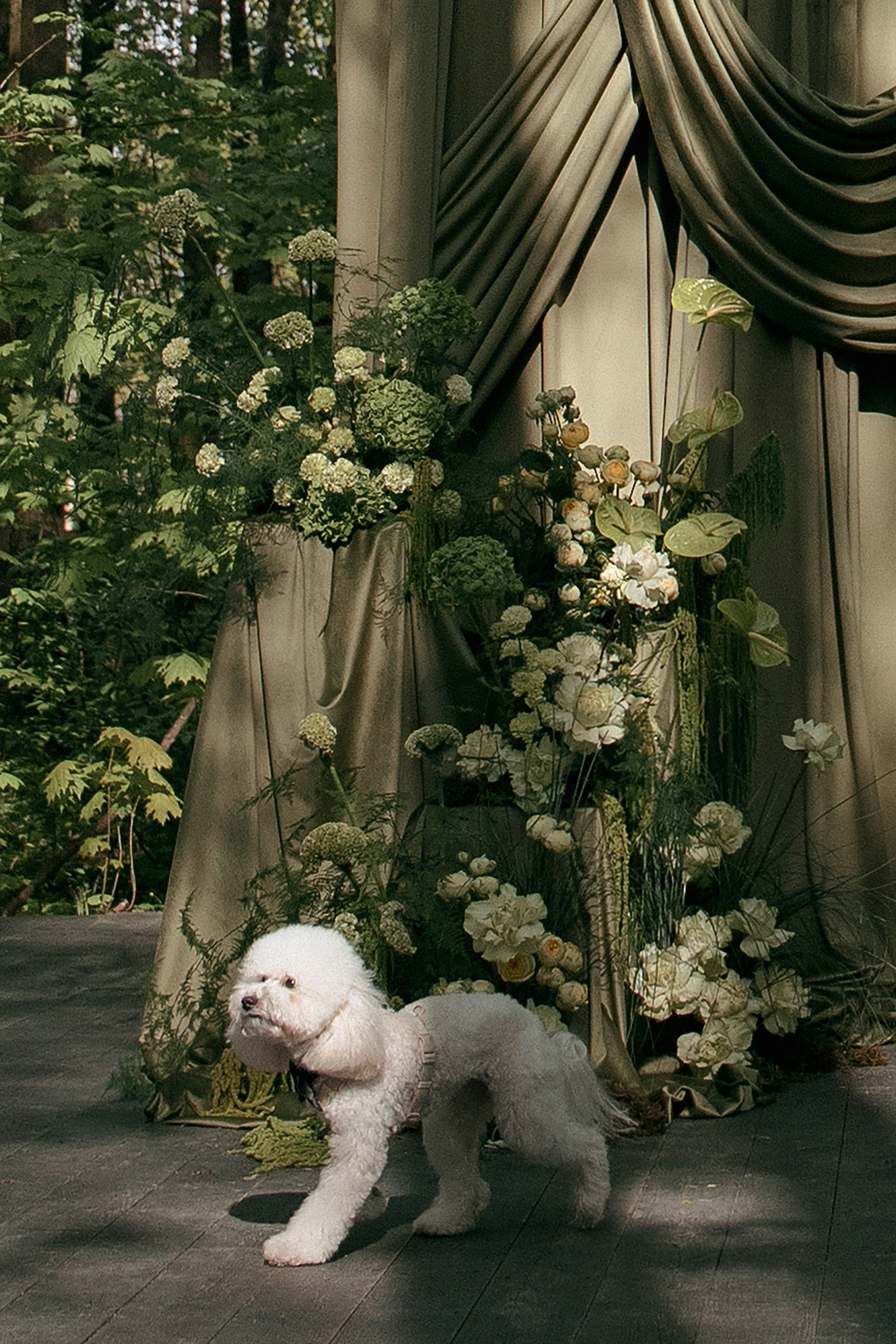 ЛЕС Event House выездная регистрация и свадебный банкет на площадке ЛЕС. Свадебный фотограф Москва