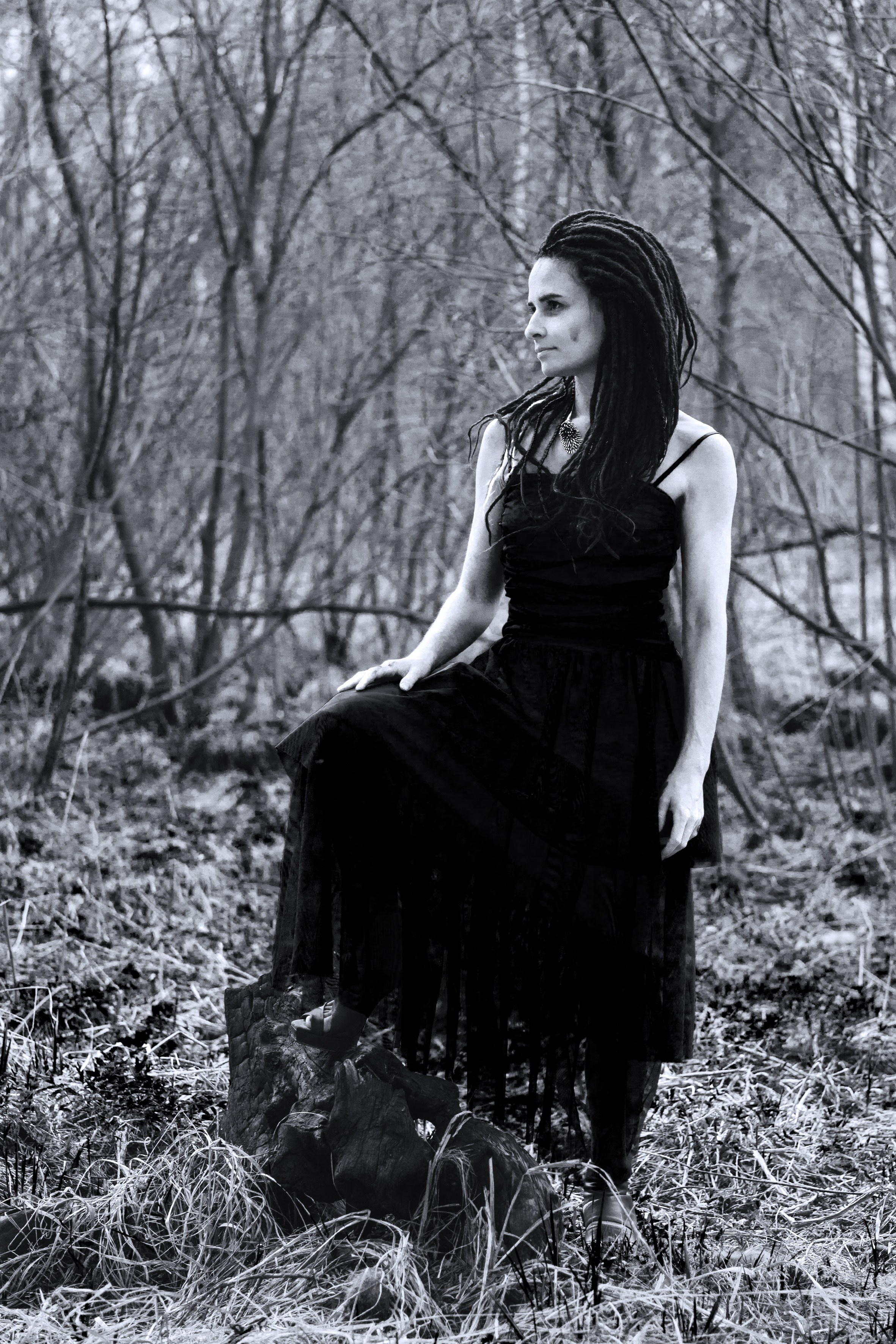 Soul Portrait. Saamill