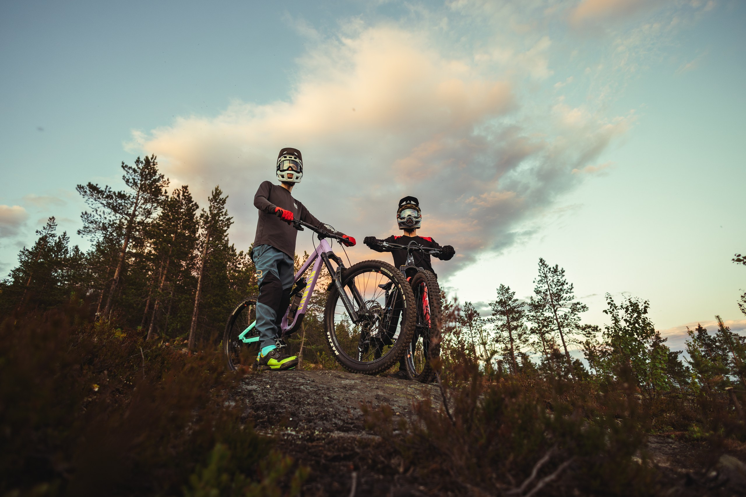 Кандалакшка. Фотограф анималист Никита Натальный