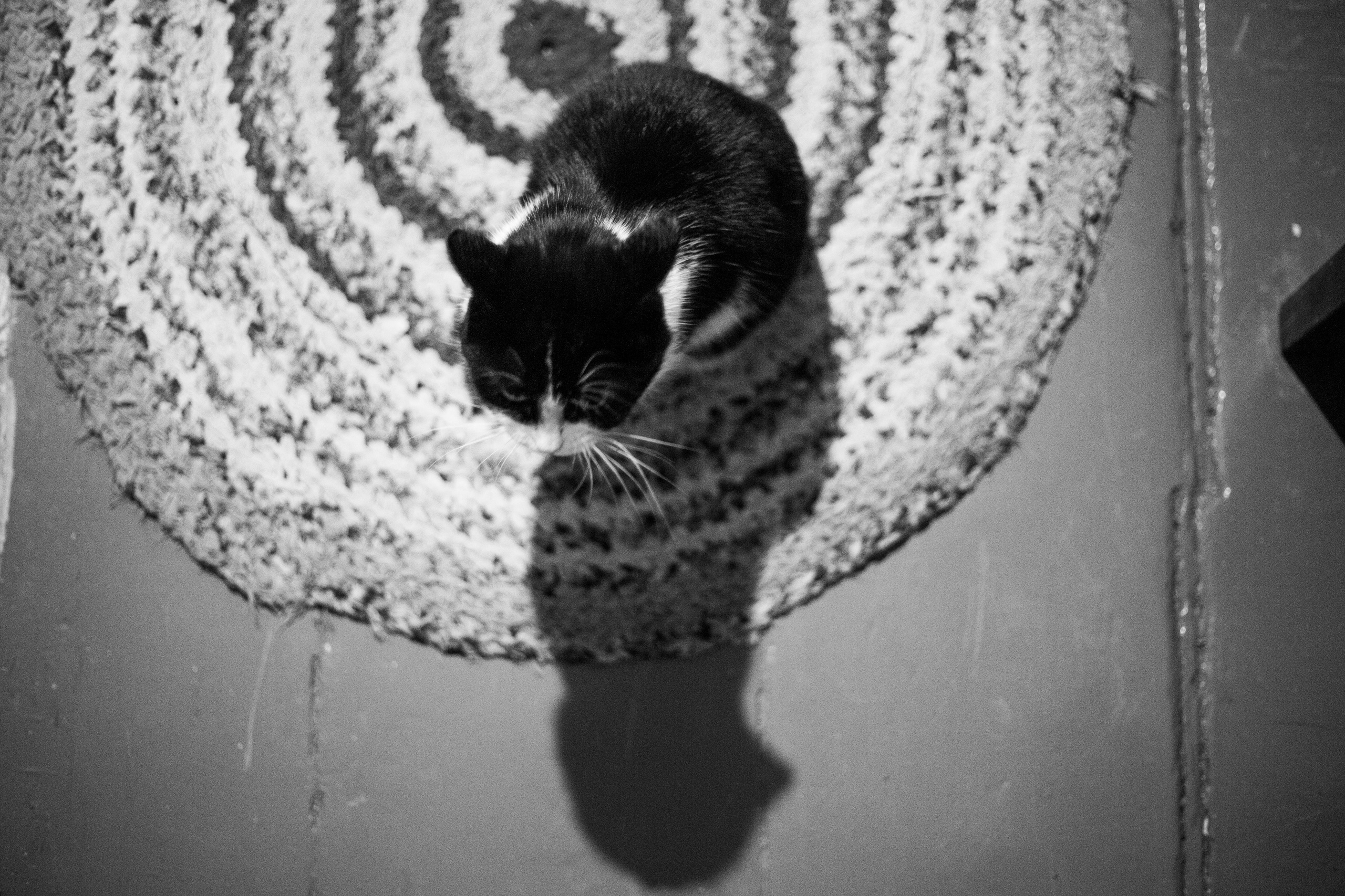 Фотографический проект "Женщина". Софья Федотова — продюсер, тренер киноактеров