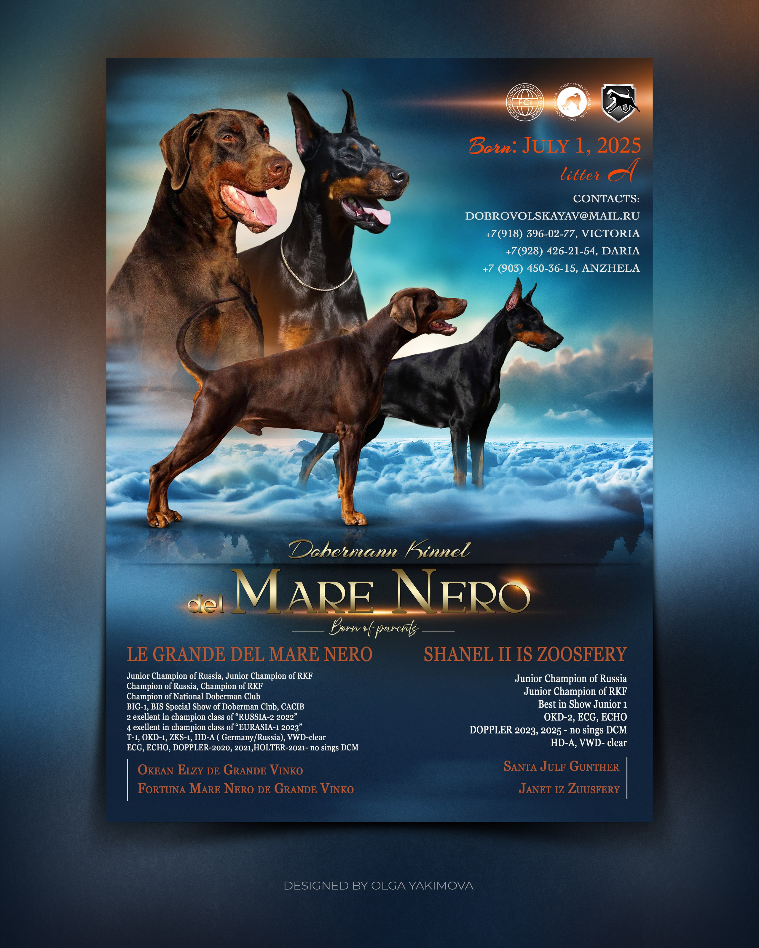 Animal presentation. Фотограф