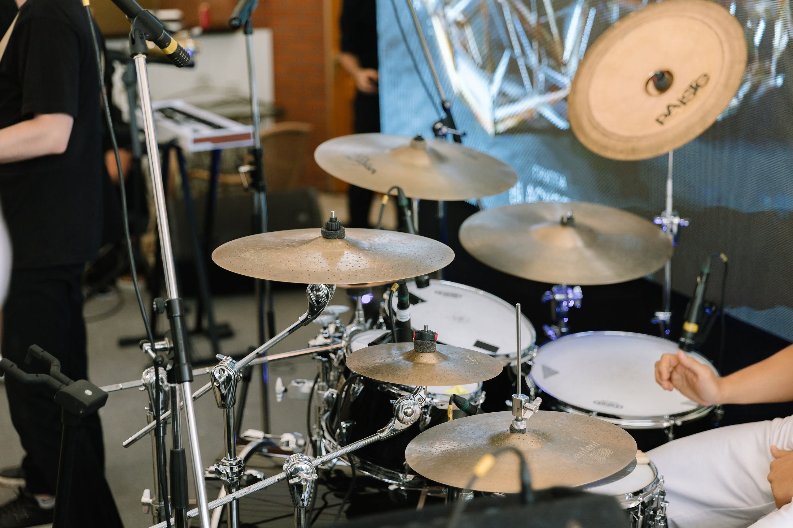 Бабочки. Фотограф Елена Краснопевцева