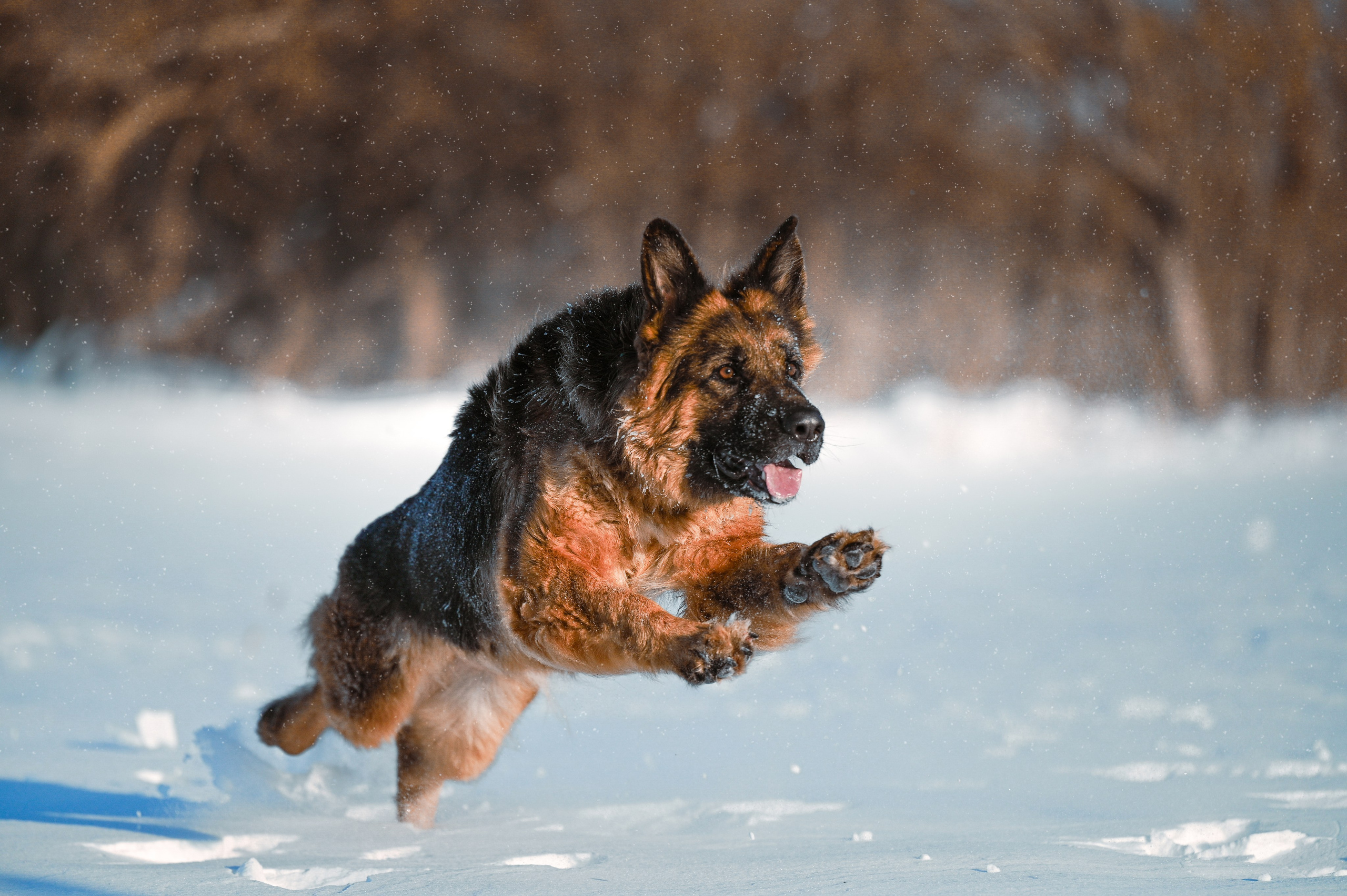 Фотограф в Ростове —на — Дону