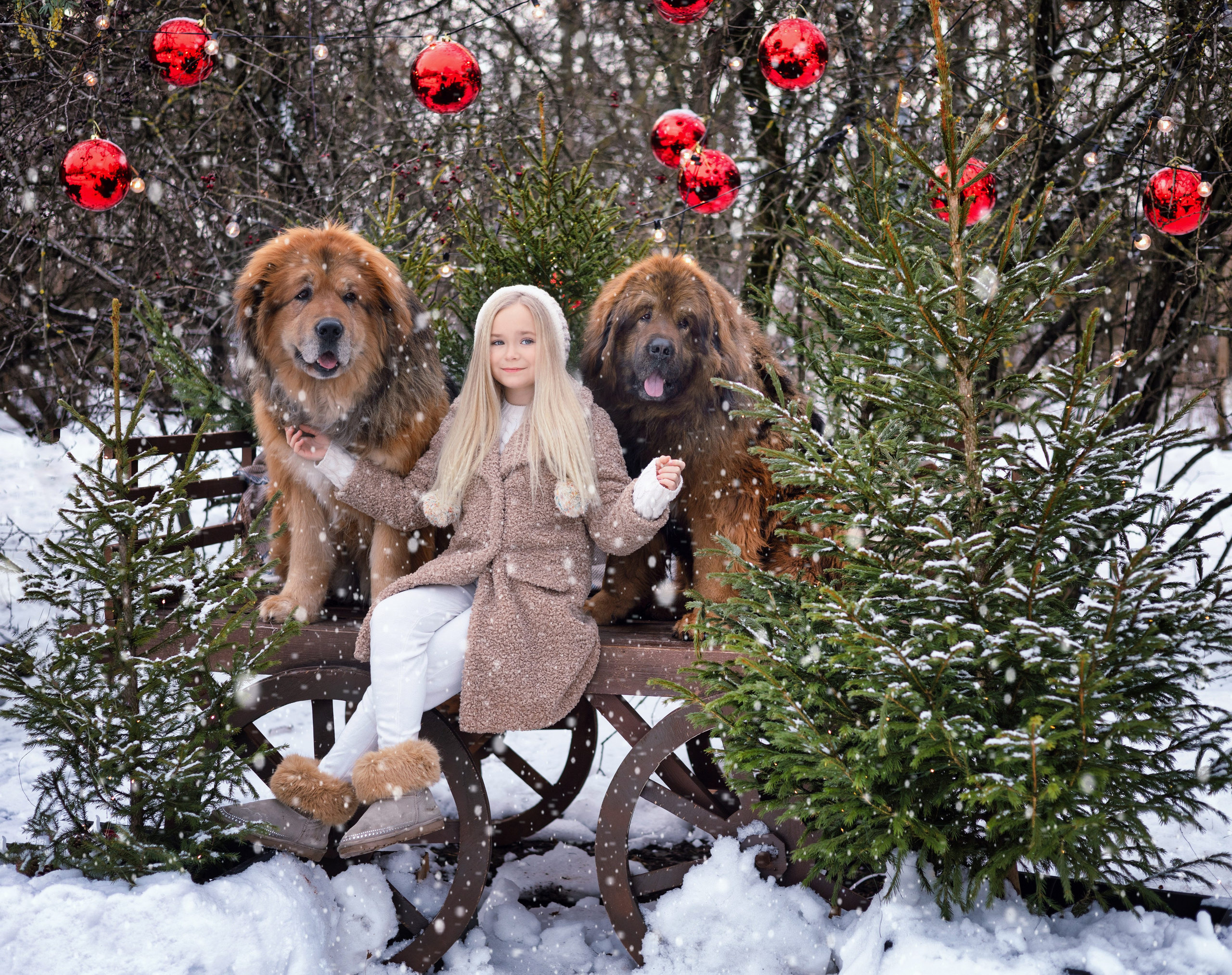 Детские съёмки. Фотограф Юлия Ревищина