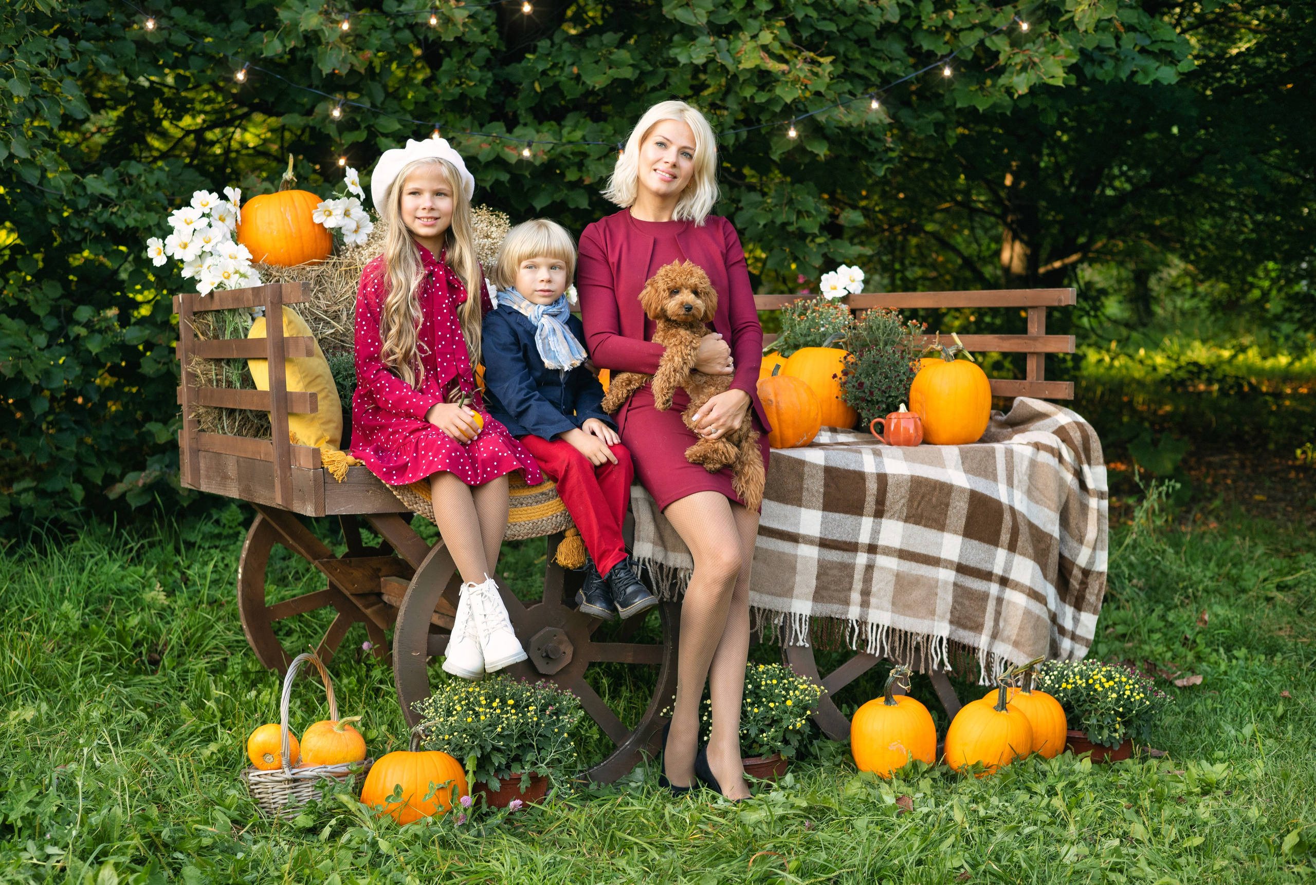 Семейные. Фотограф Юлия Ревищина