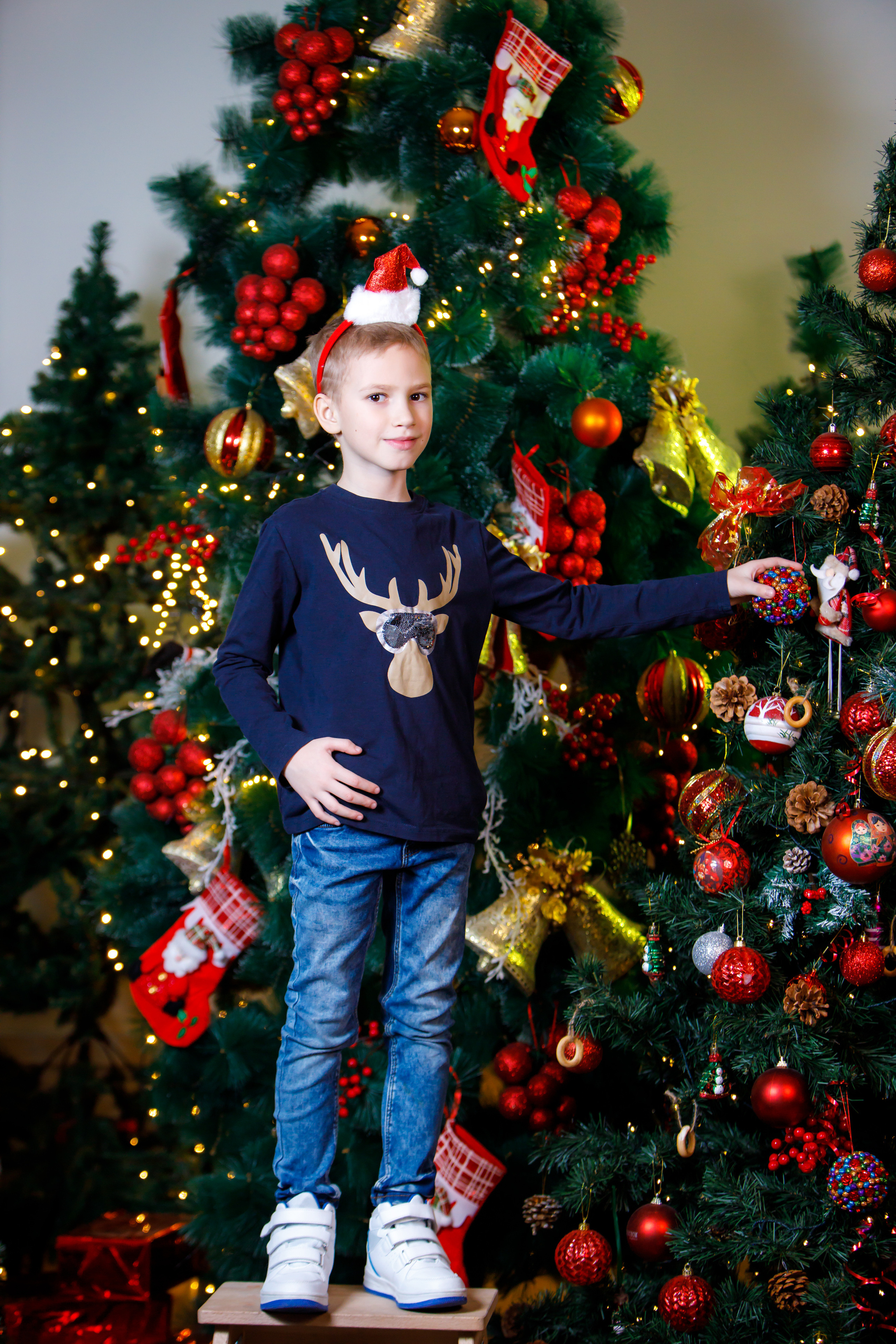 Новогодняя фотосессия в студии. Профессиональная фото и видеосъемка. Москва