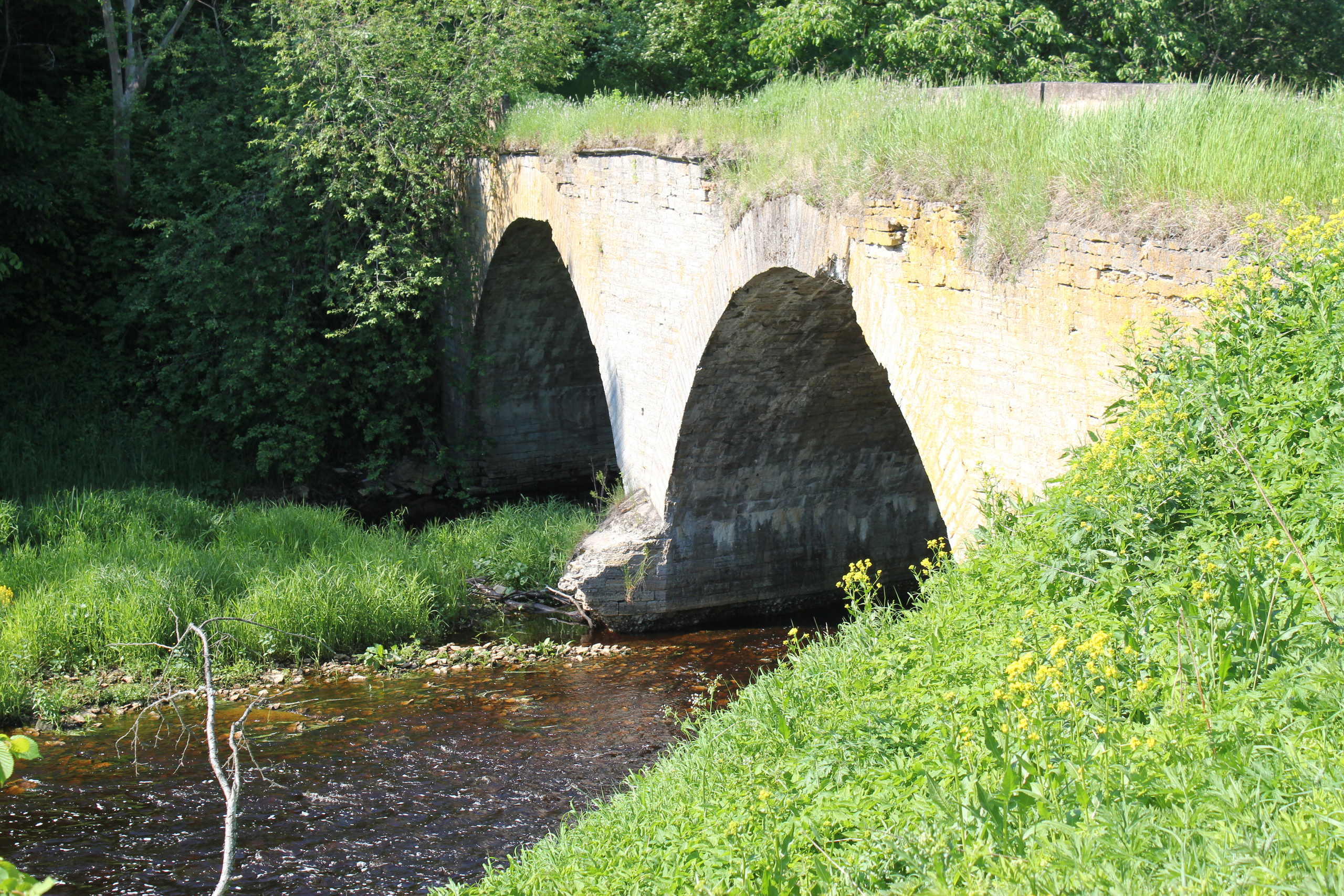 Фотографии моста в настоящее время. История Назиевского городского поселения