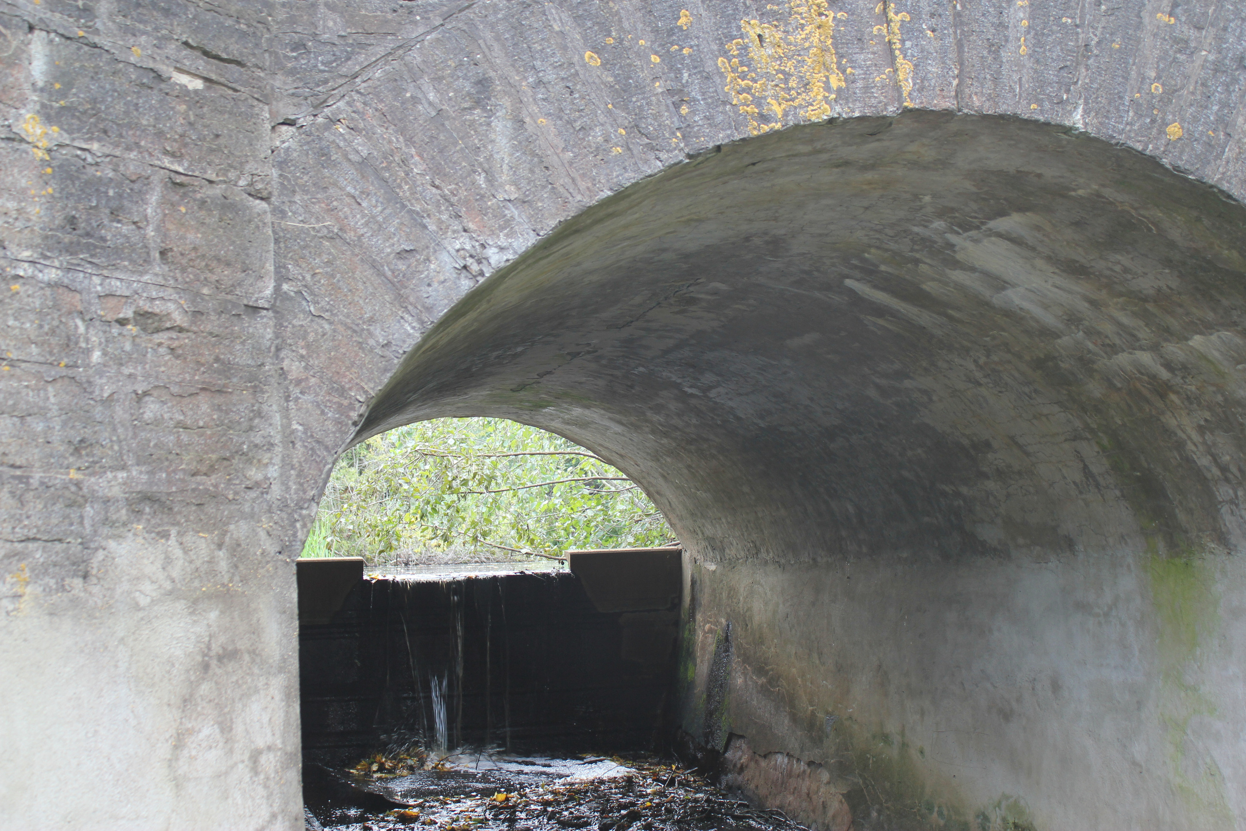 Фотографии моста в настоящее время. История Назиевского городского поселения