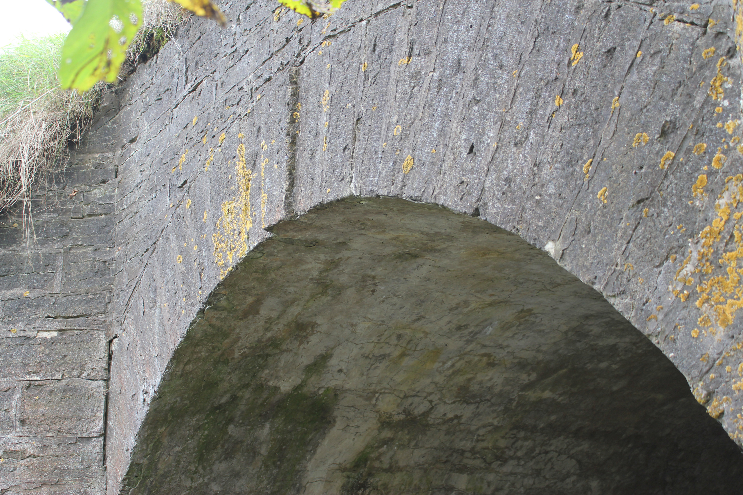 Фотографии моста в настоящее время. История Назиевского городского поселения
