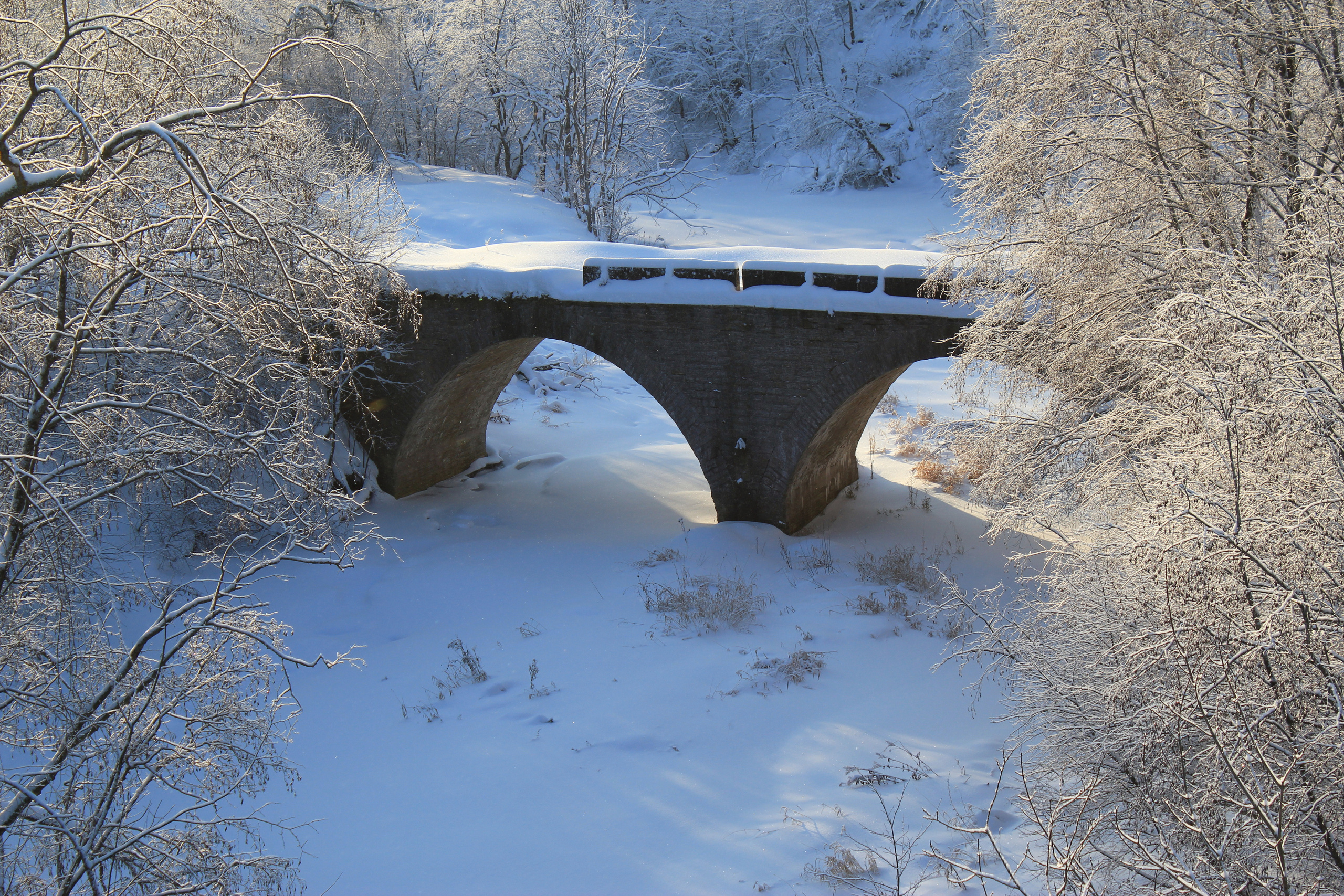 Двухарочный мост в д. Васильково. История Назиевского городского поселения